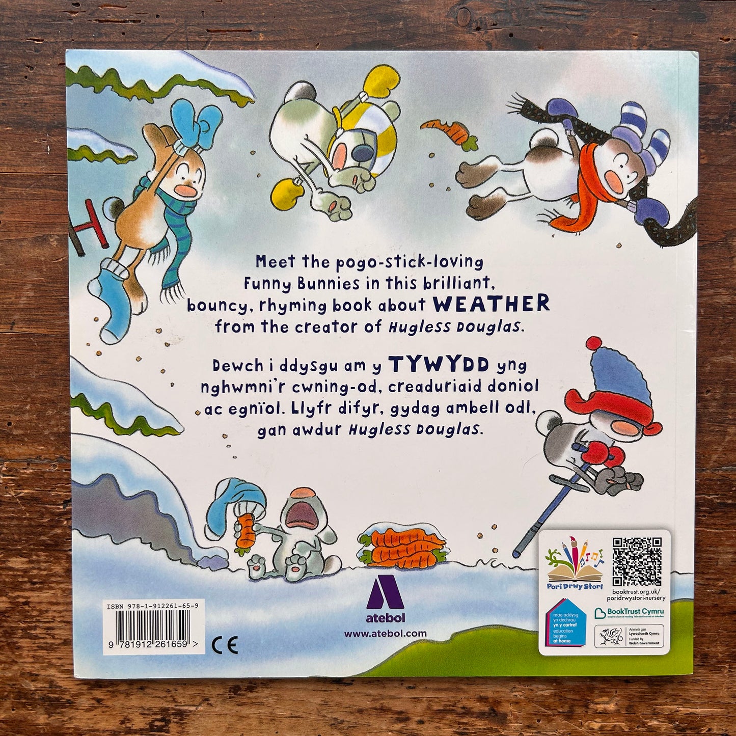 Cwning-Od: Glaw a Hindda / Funny Bunnies Rain or Shine (Preloved)