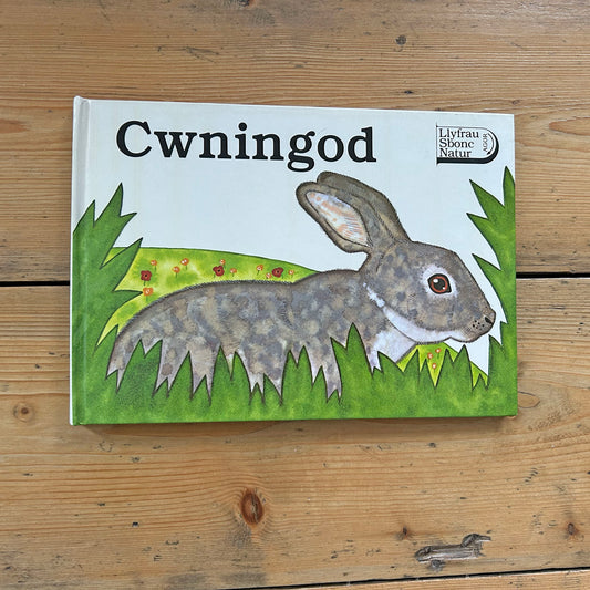 Cwningod - Cwningod - Llyfr Pop Up Hen Ffasiwn (Wedi'i Ail-law)