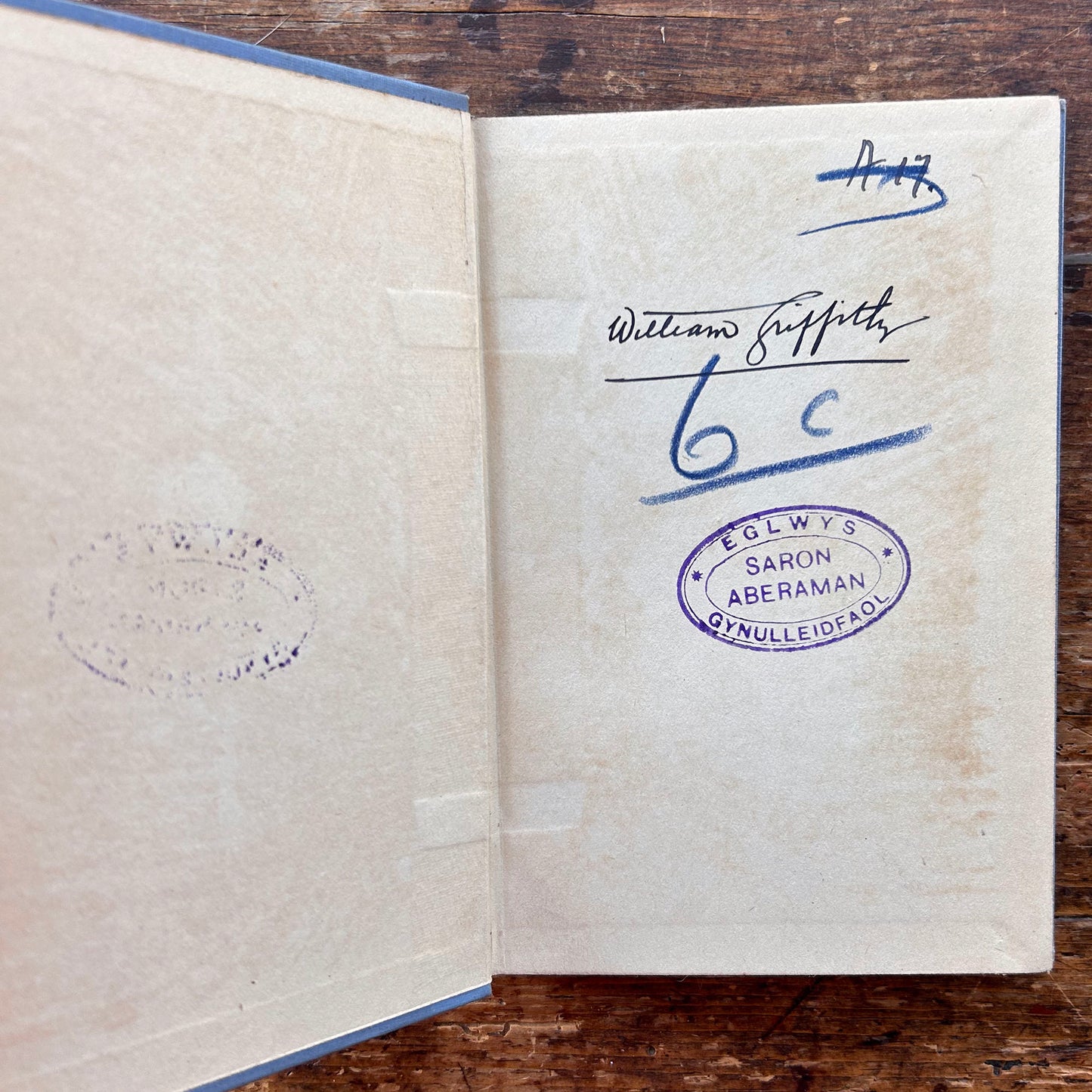 Cwrs y Lli - Moelona - 1927 1st edition (Preloved)