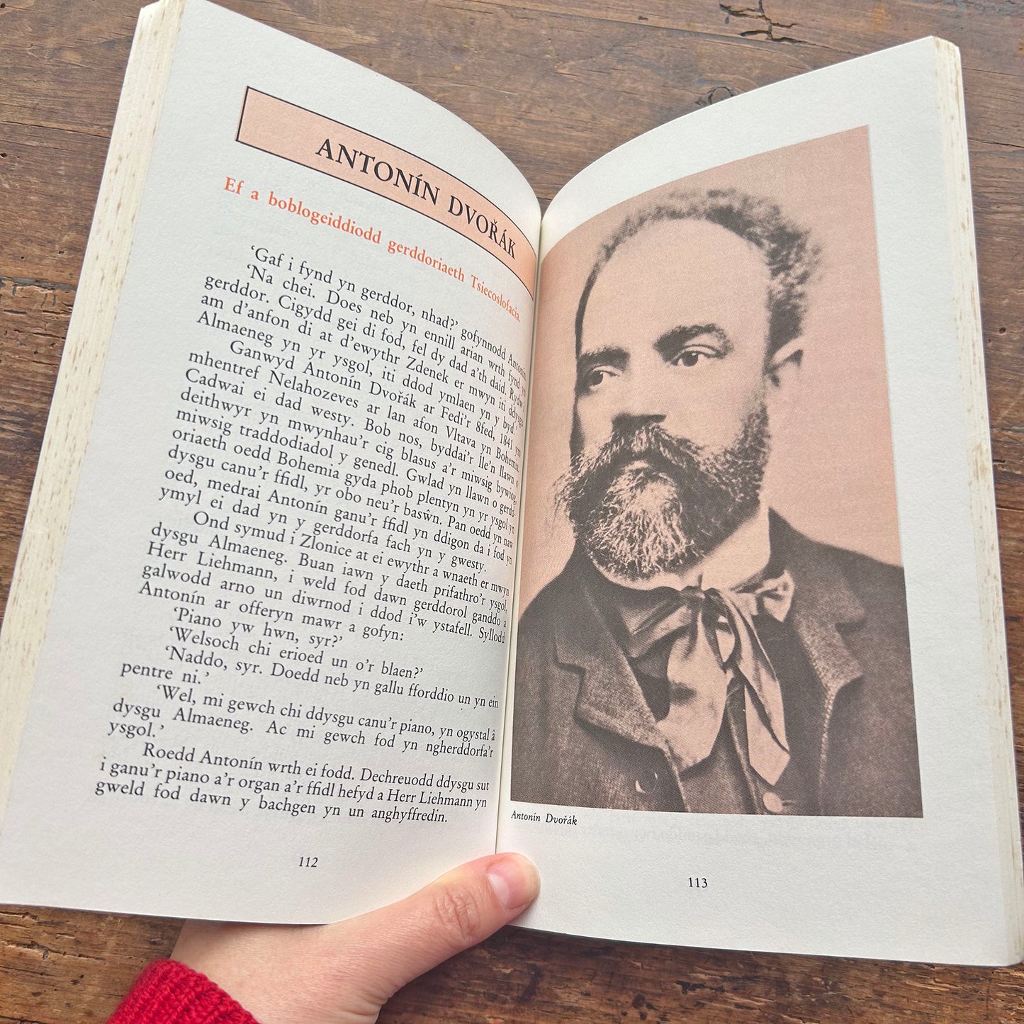 Cyfansoddwyr Enwog - Cyfres Enwogion y Byd 6 (Preloved)