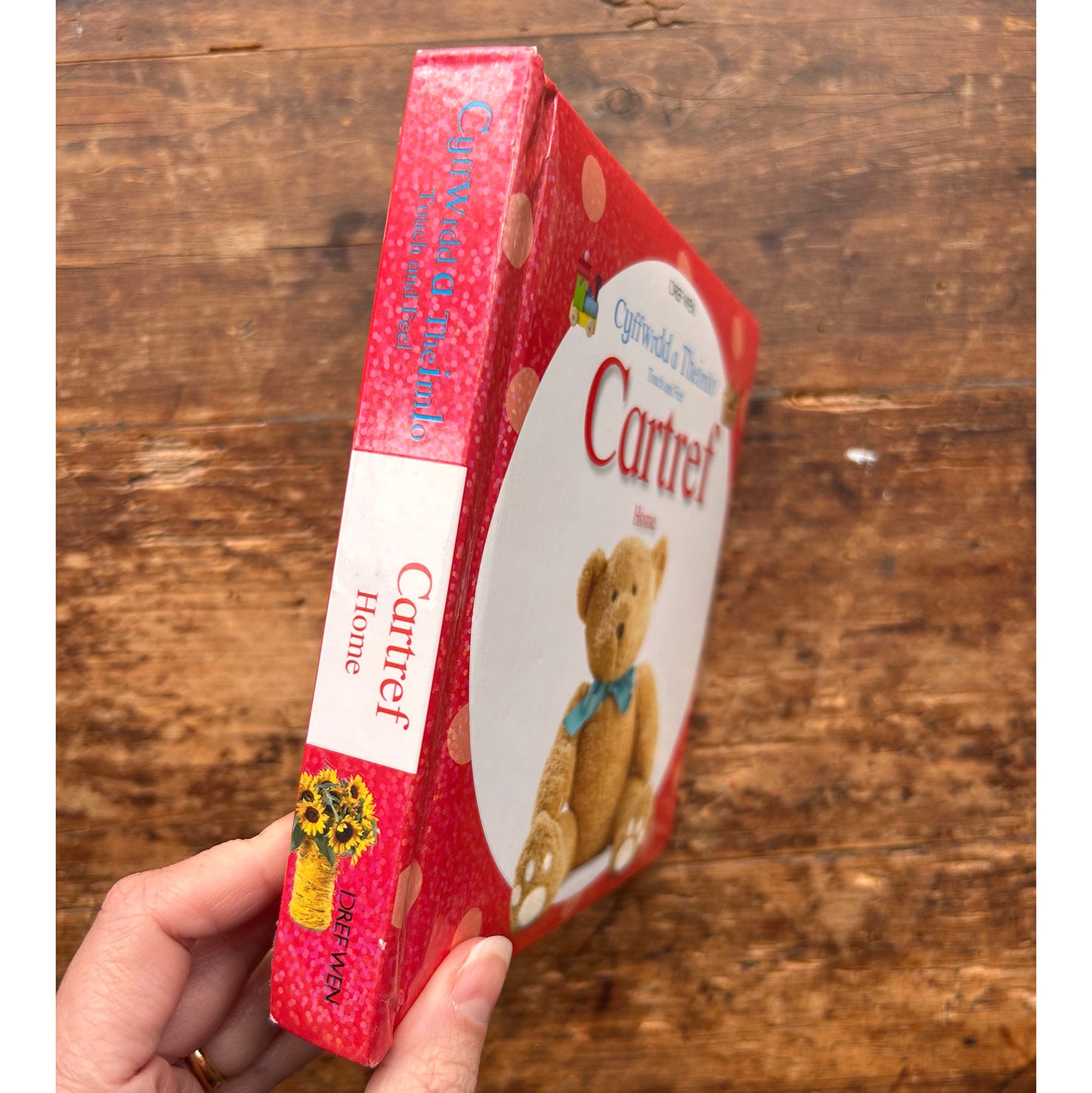 Cyffwrdd a Theimlo - Cartref / Touch and Feel: Home (Preloved)