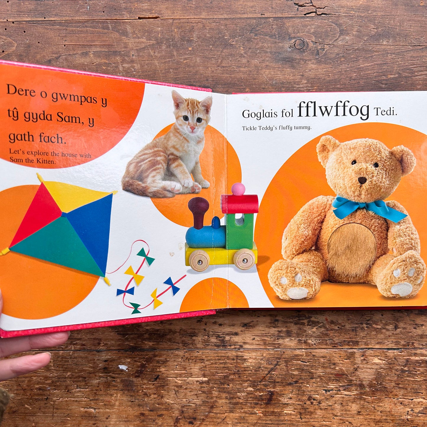 Cyffwrdd a Theimlo - Cartref / Touch and Feel: Home (Preloved)