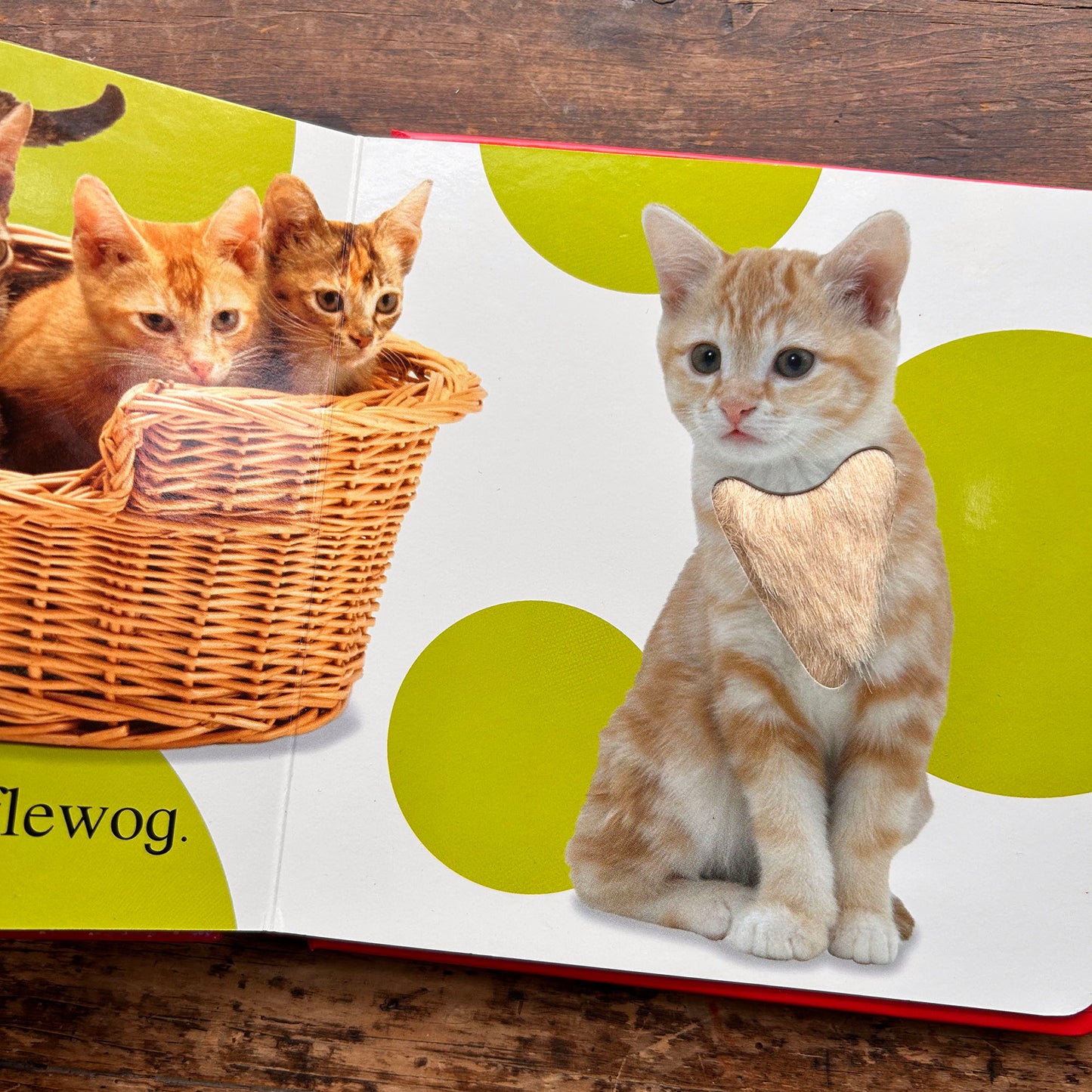 Cyffwrdd a Theimlo - Cartref / Touch and Feel: Home (Preloved)