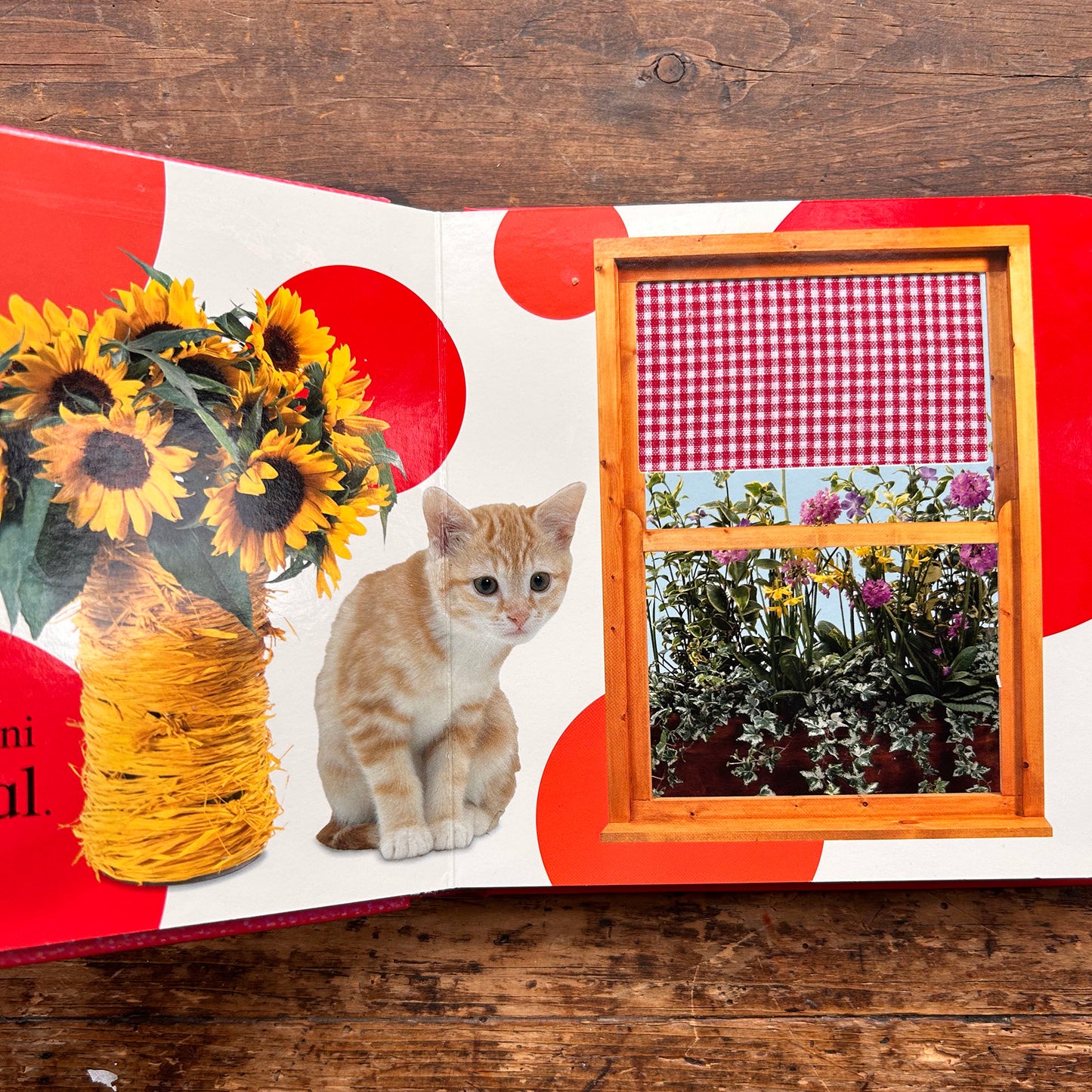 Cyffwrdd a Theimlo - Cartref / Touch and Feel: Home (Preloved)