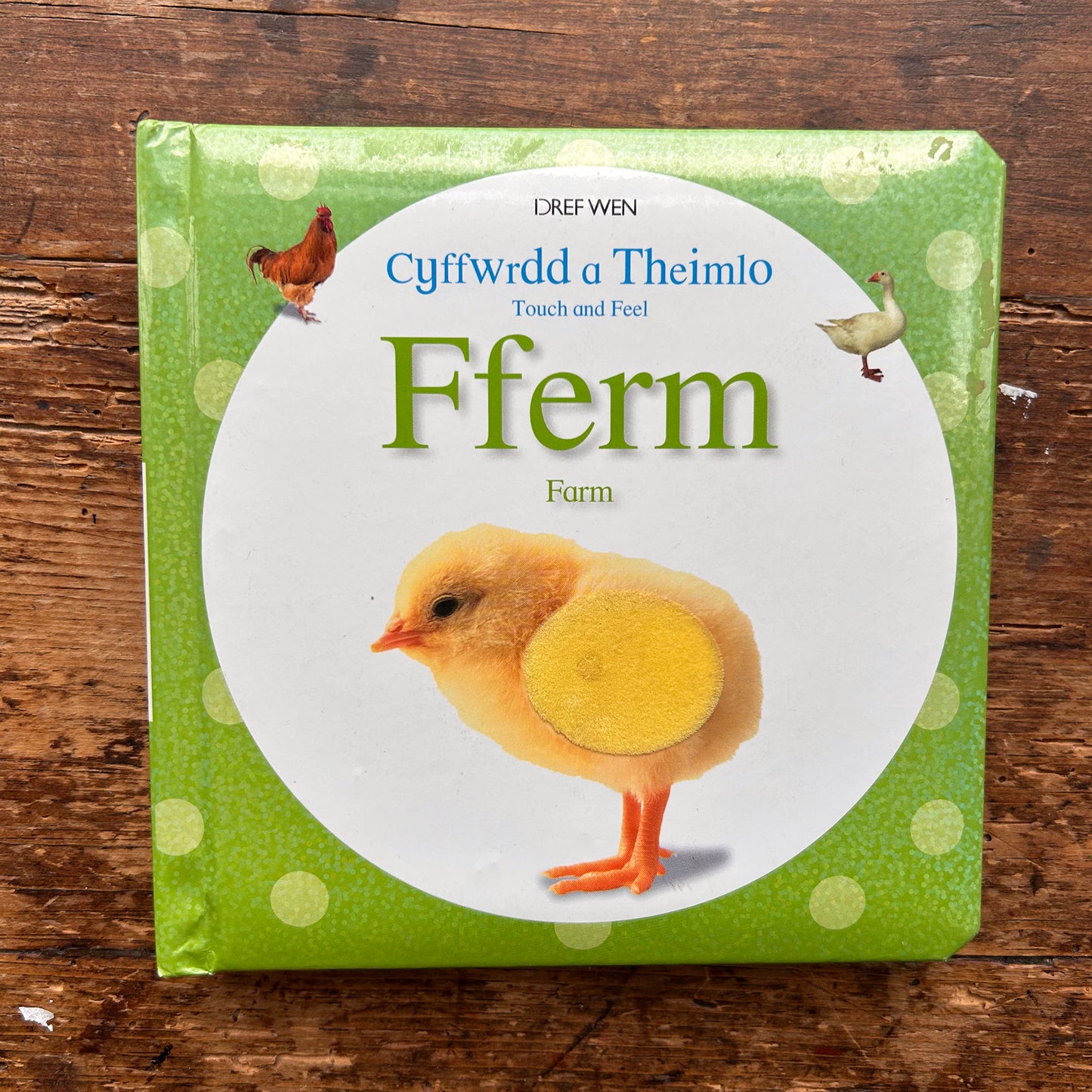 Cyffwrdd a Theimlo - Fferm / Touch and Feel: Farm (Preloved)