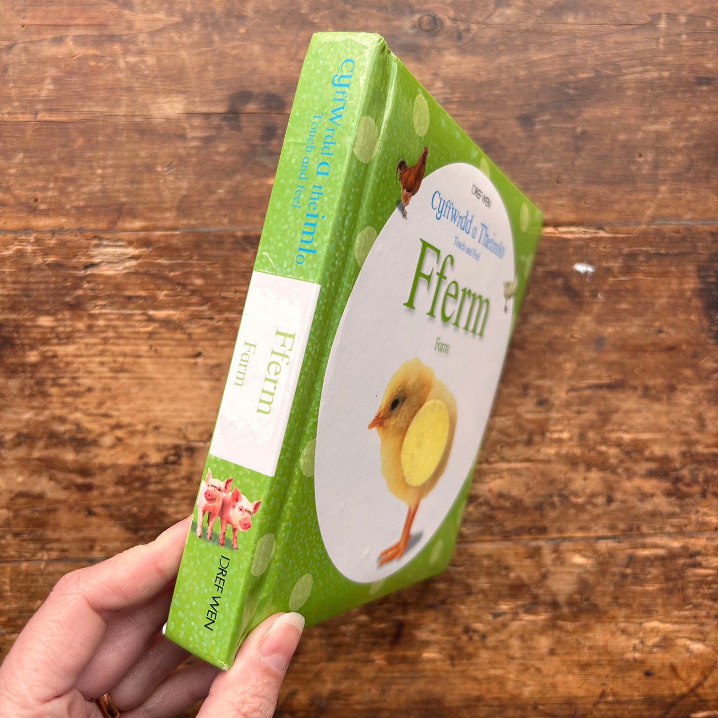 Cyffwrdd a Theimlo - Fferm / Touch and Feel: Farm (Preloved)