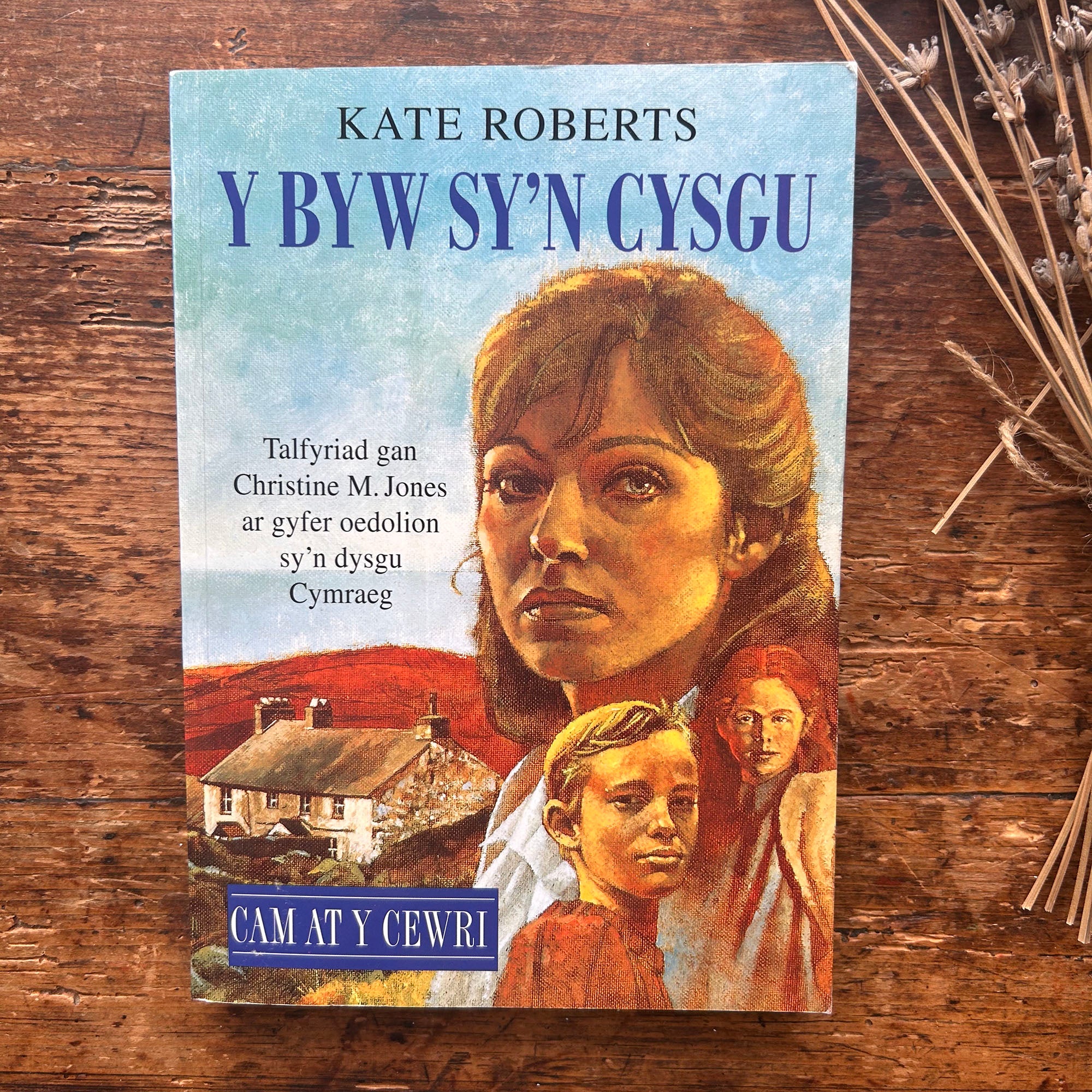 Cyfres Cam at y Cewri: Y Byw Sy'n Cysgu - Kate Roberts (Preloved) – The ...