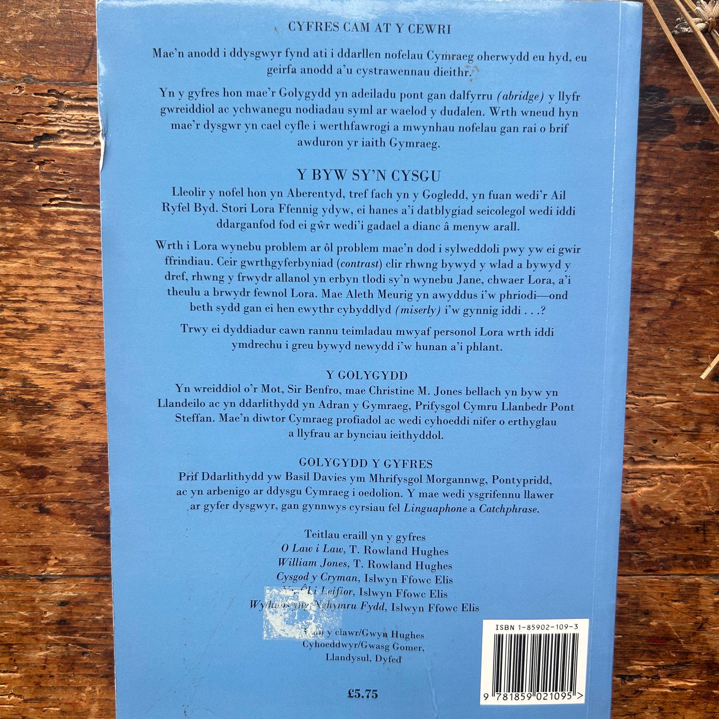 Cyfres Cam at y Cewri: Y Byw Sy'n Cysgu - Kate Roberts (Preloved)