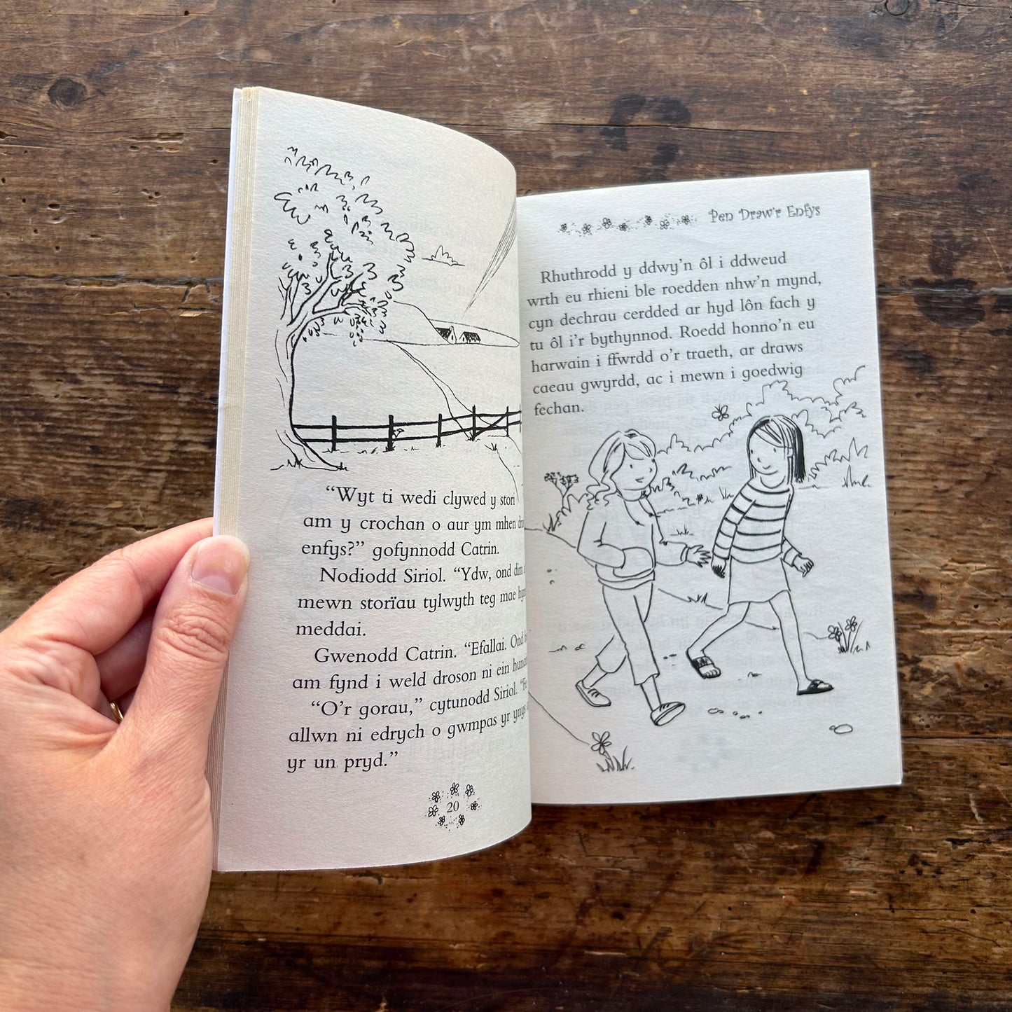 Cyfres Hud yr Enfys: Ceirios y Dylwythen Deg Goch (Preloved)