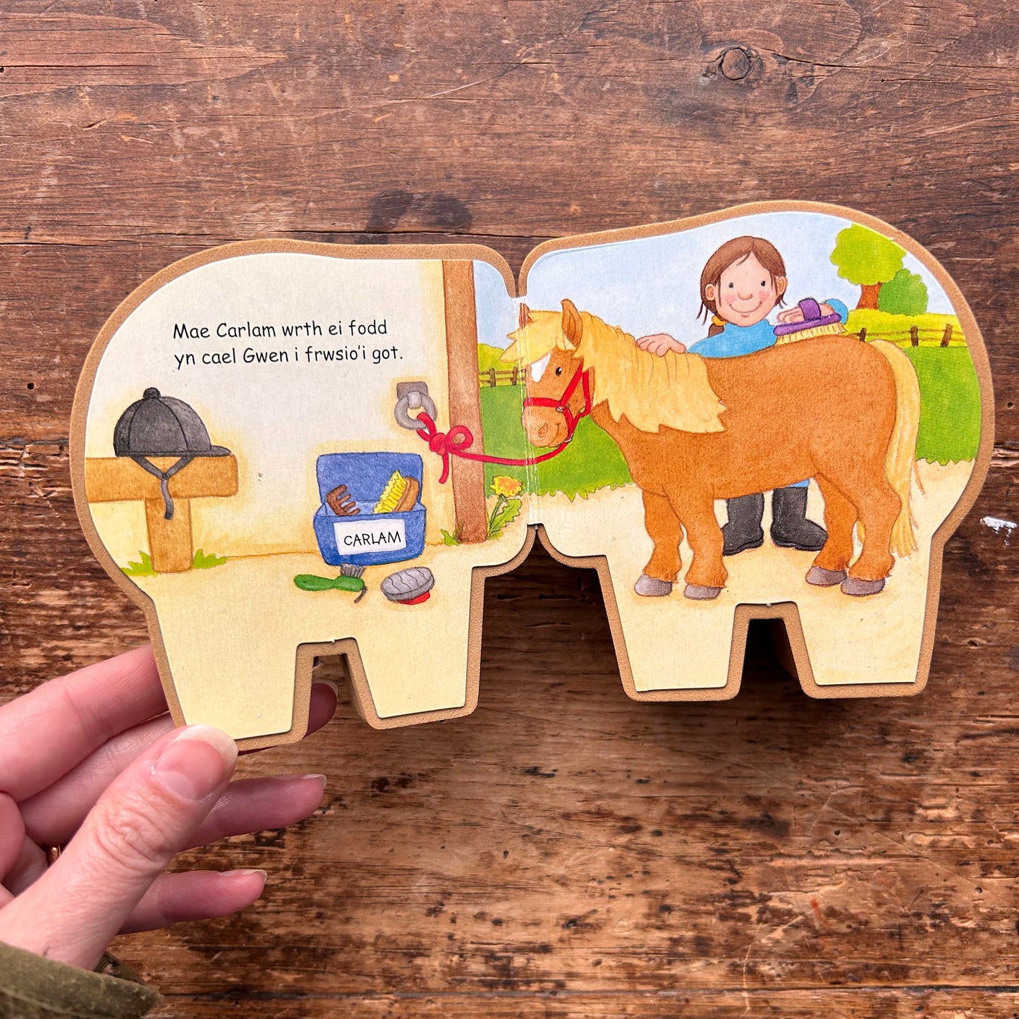 Cyfres y Buarth: Carlam y Ceffyl - Toy / Book (Preloved)