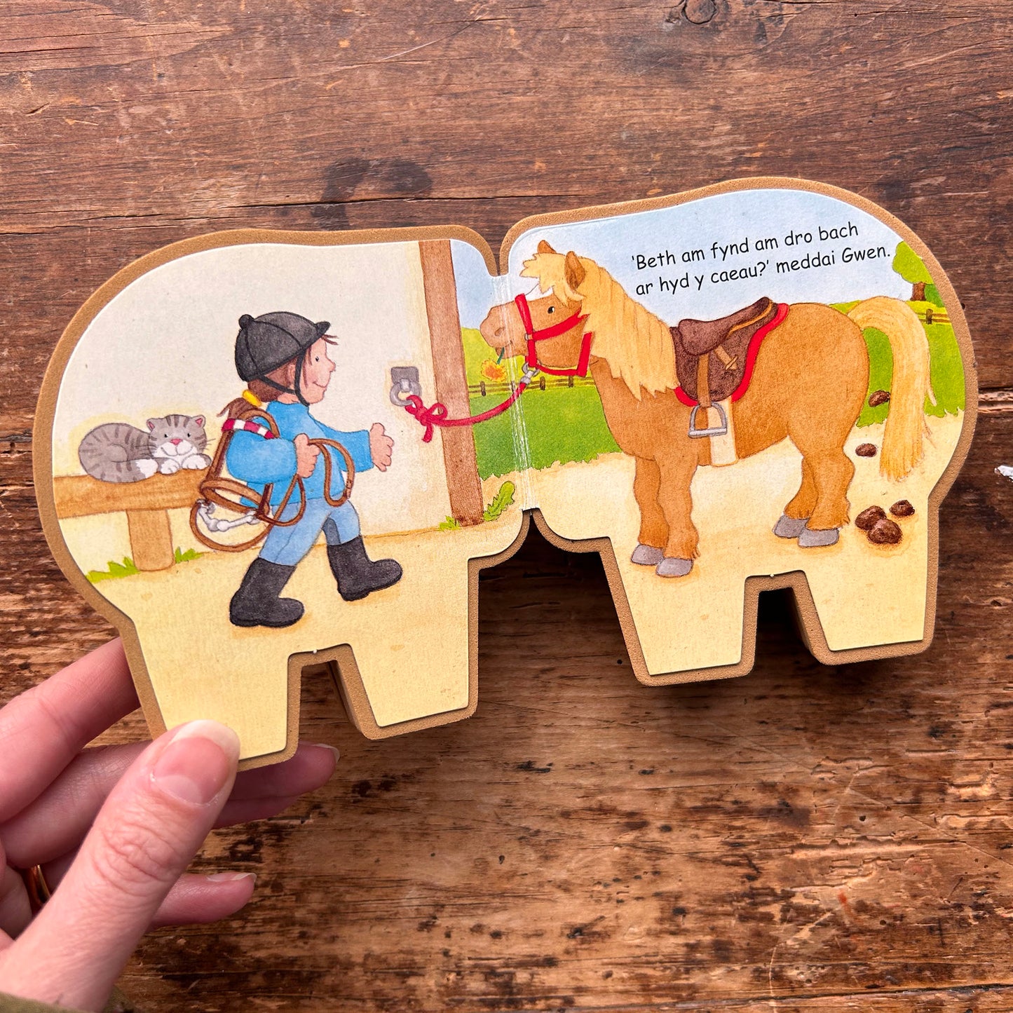 Cyfres y Buarth: Carlam y Ceffyl - Toy / Book (Preloved)