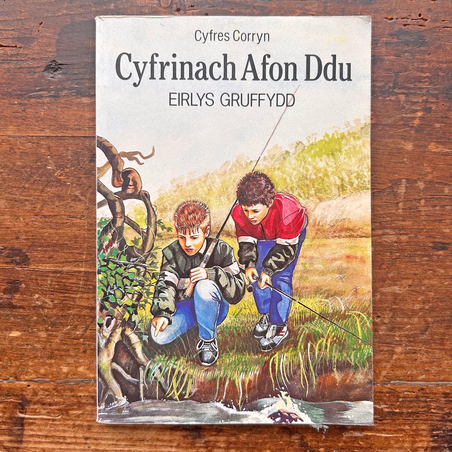 Cyfrinach Afon Ddu - Eirlys Gruffydd (Preloved)
