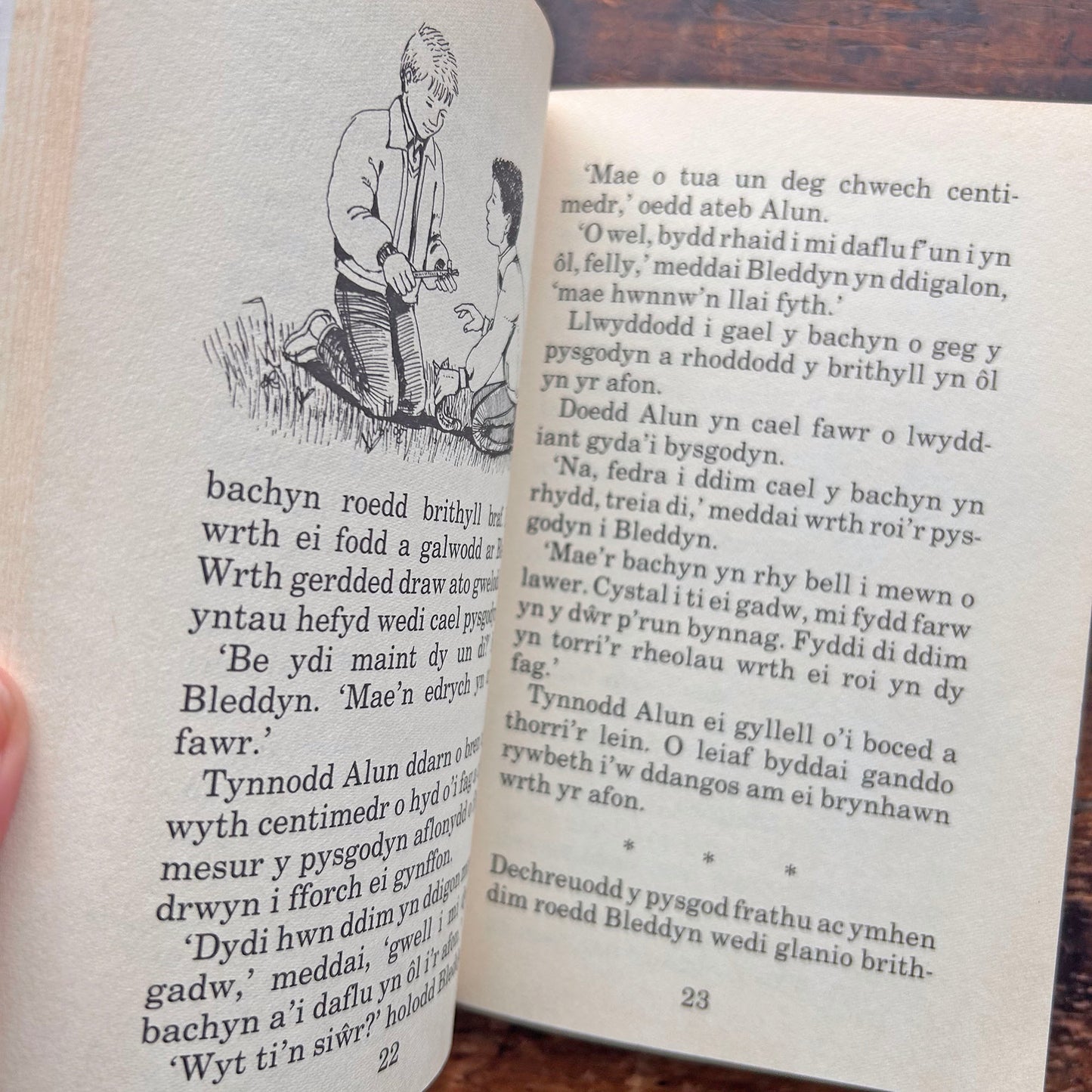 Cyfrinach Afon Ddu - Eirlys Gruffydd (Preloved)