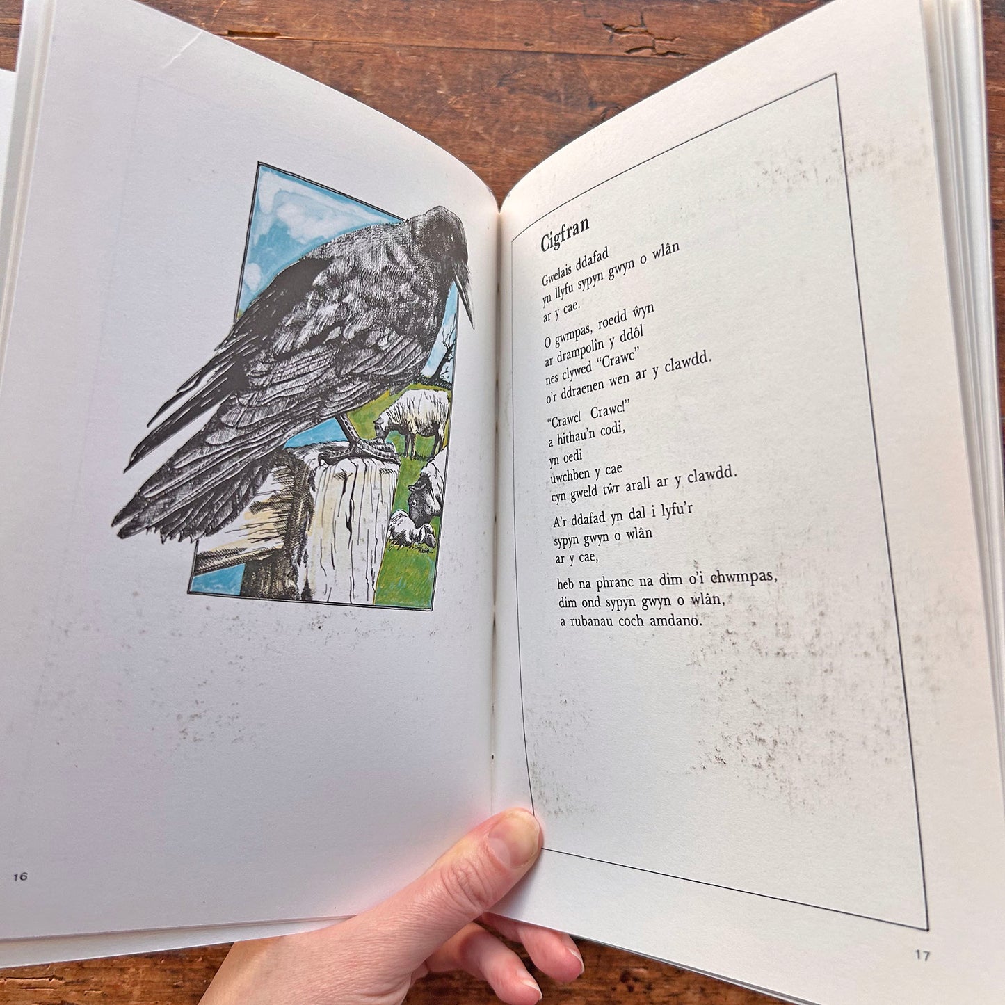 Cylchoedd - John Hywyn - Barddoniaeth 1980 (Preloved)