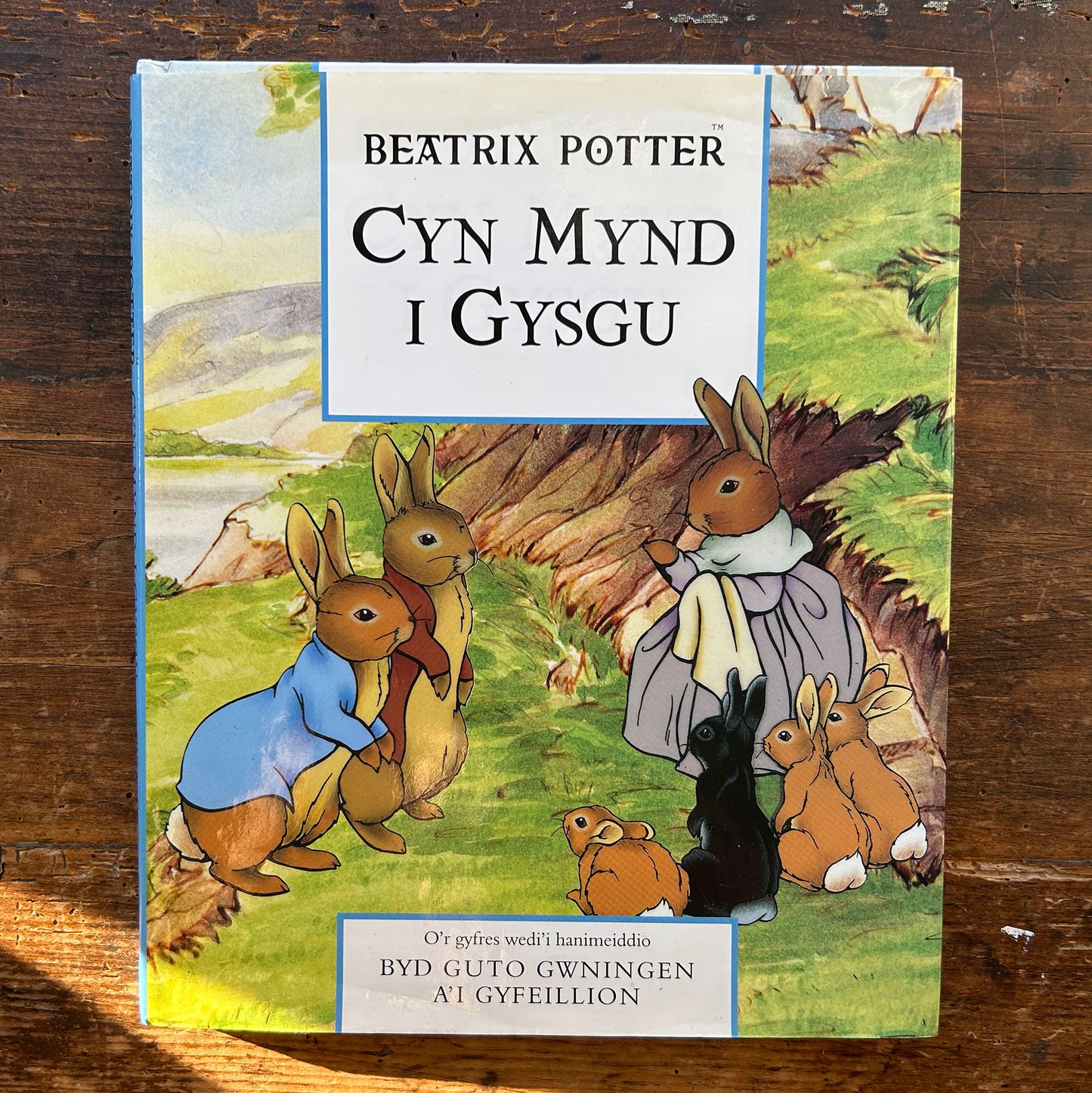 Cyn Mynd i Gysgu - Beatrix Potter (Preloved)