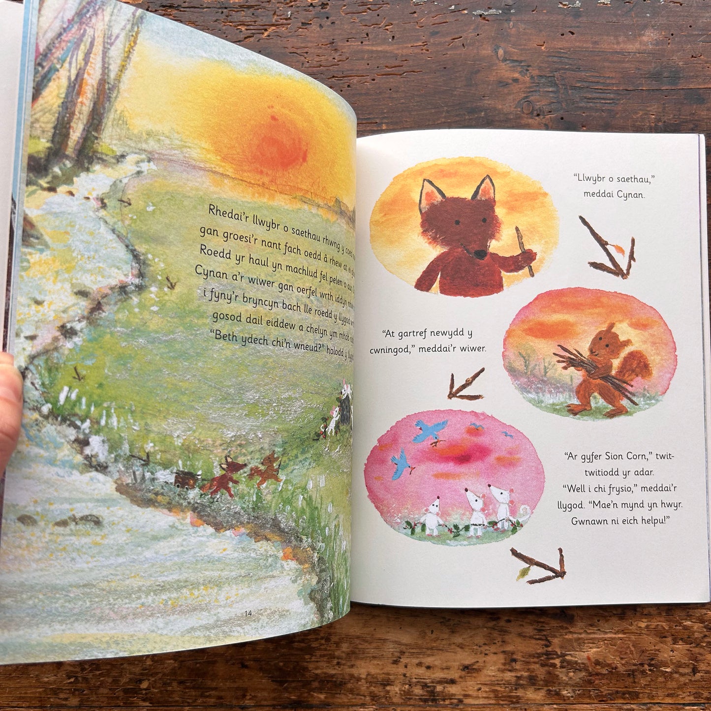 Cynan a'r Bluen Eira - Nadolig (Preloved)