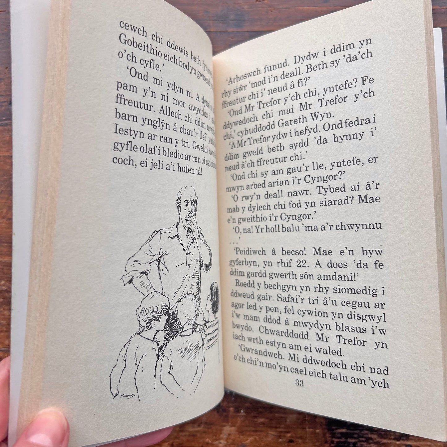 Cynllwyn Caerallt -  Jacqueline Pinto (Preloved)