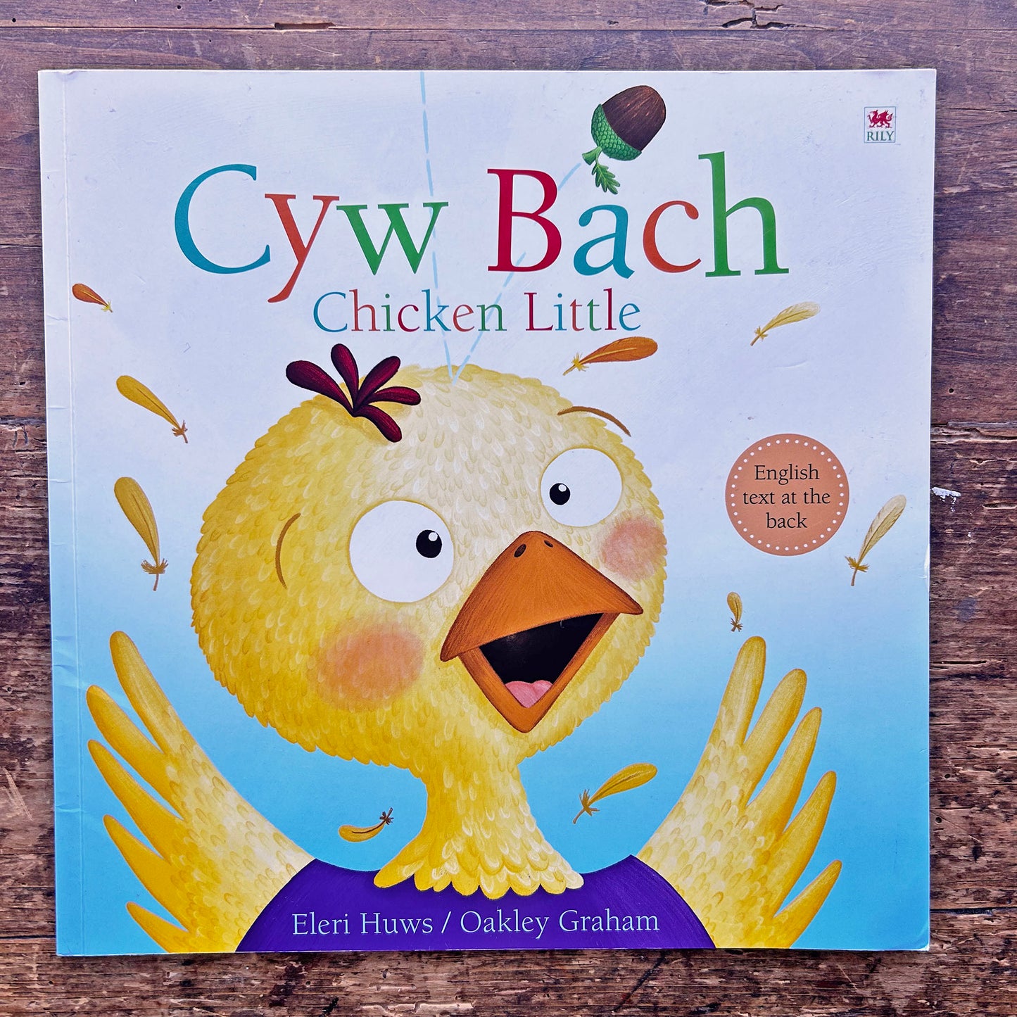 Cyw Bach / Little Chicken - Eleri Huws (Preloved)