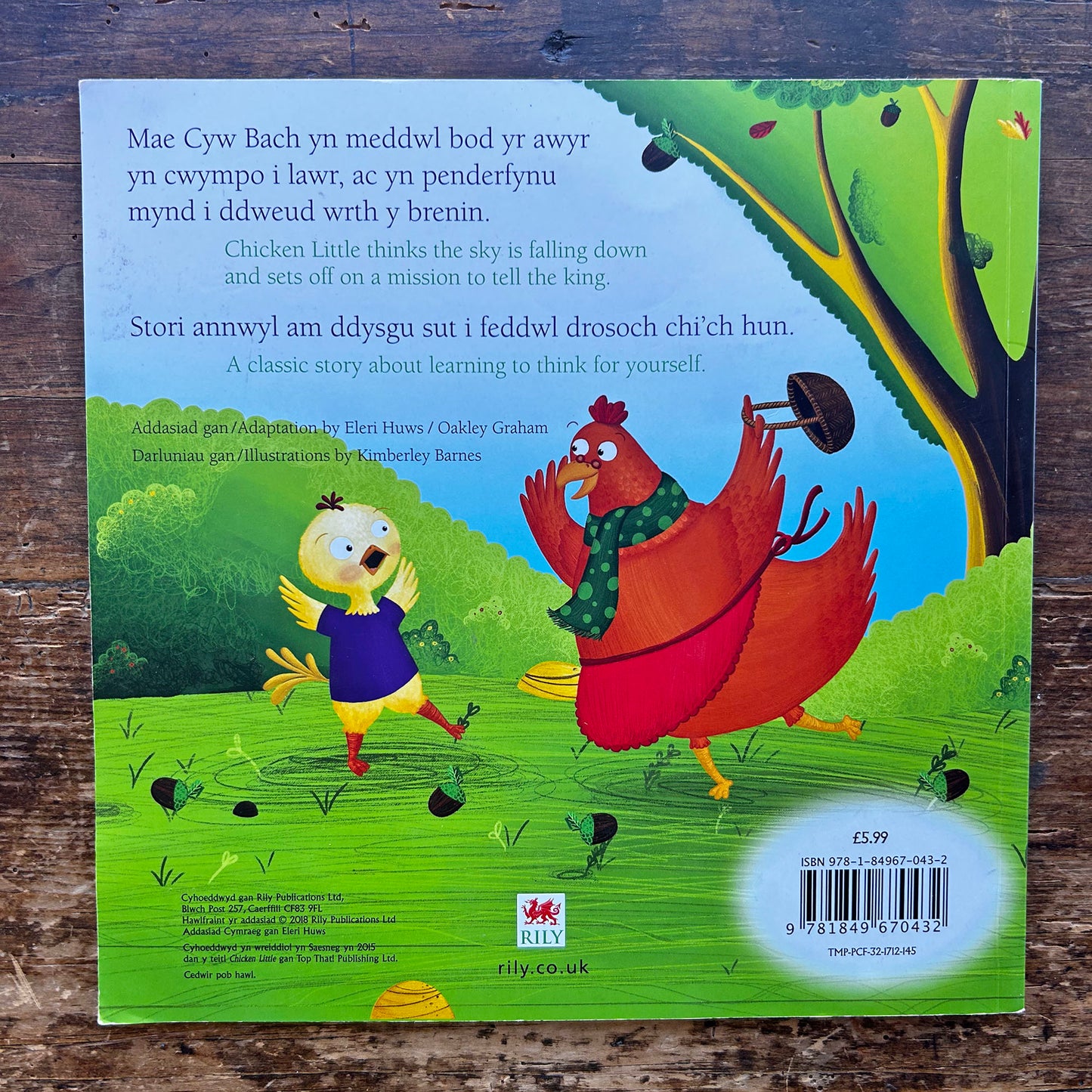 Cyw Bach / Little Chicken - Eleri Huws (Preloved)