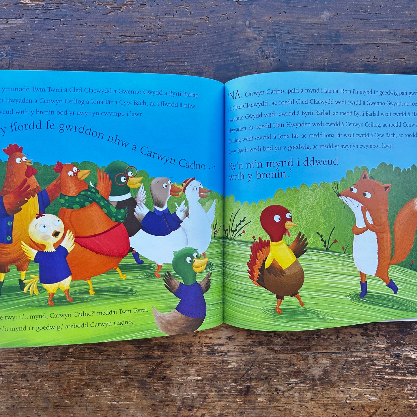 Cyw Bach / Little Chicken - Eleri Huws (Preloved)