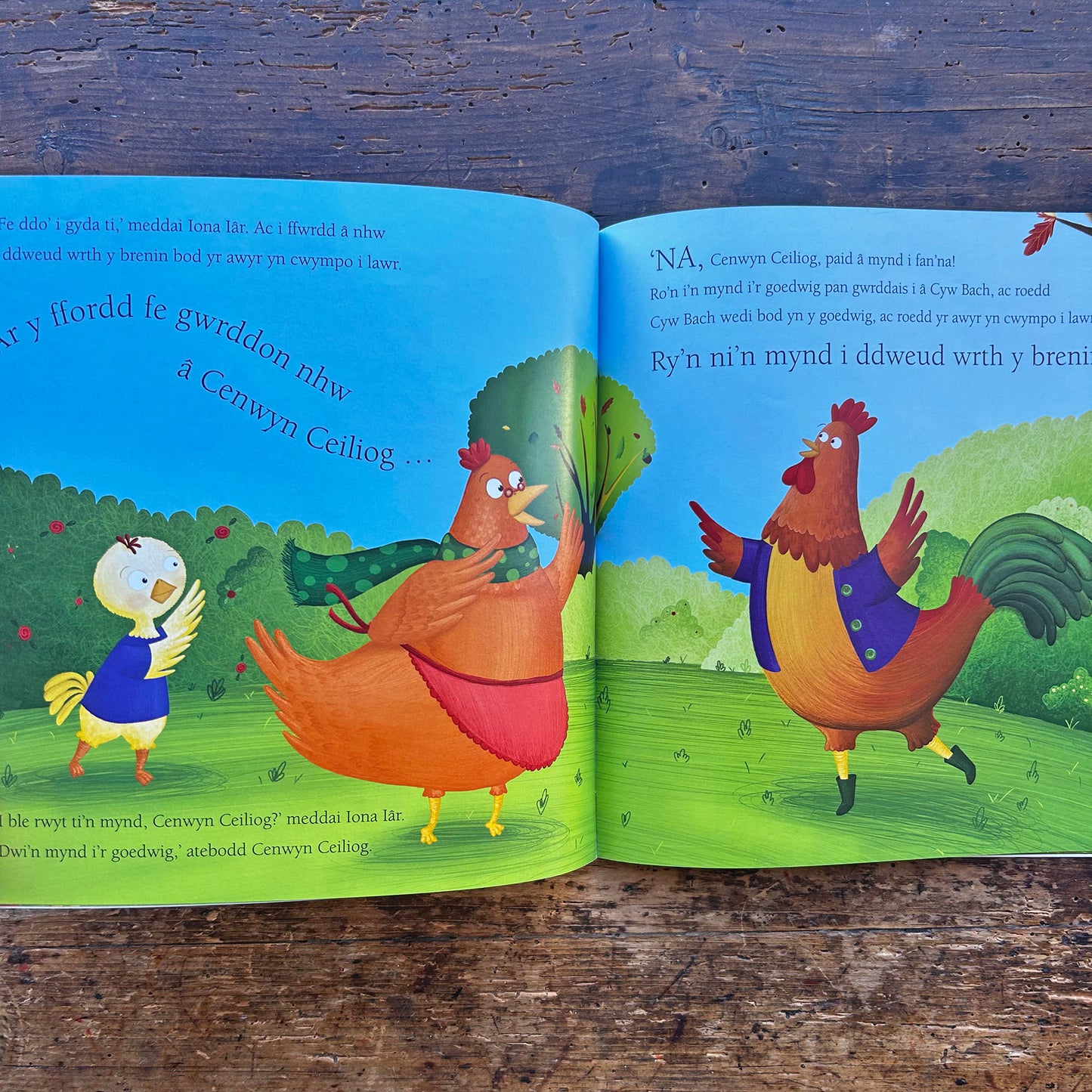 Cyw Bach / Little Chicken - Eleri Huws (Preloved)