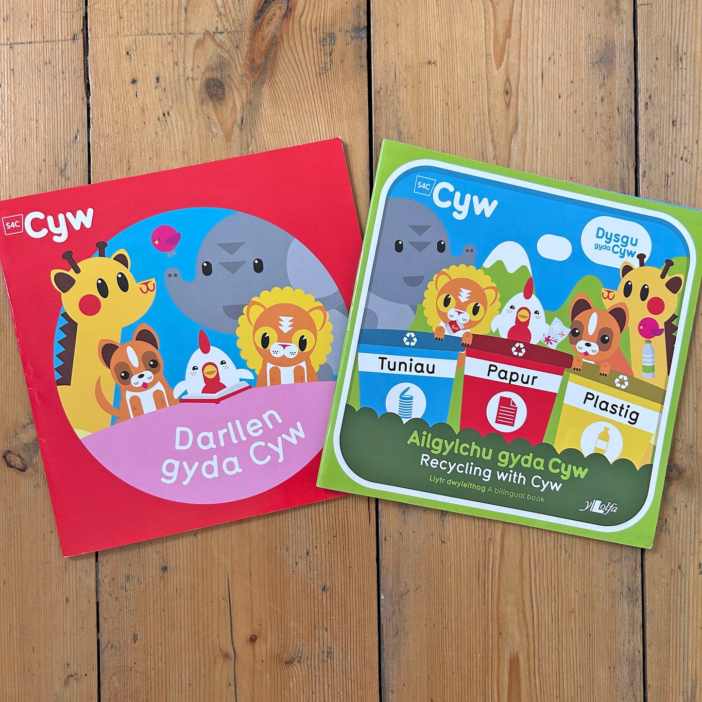 Cyw Bundle of 2 Books (Preloved)