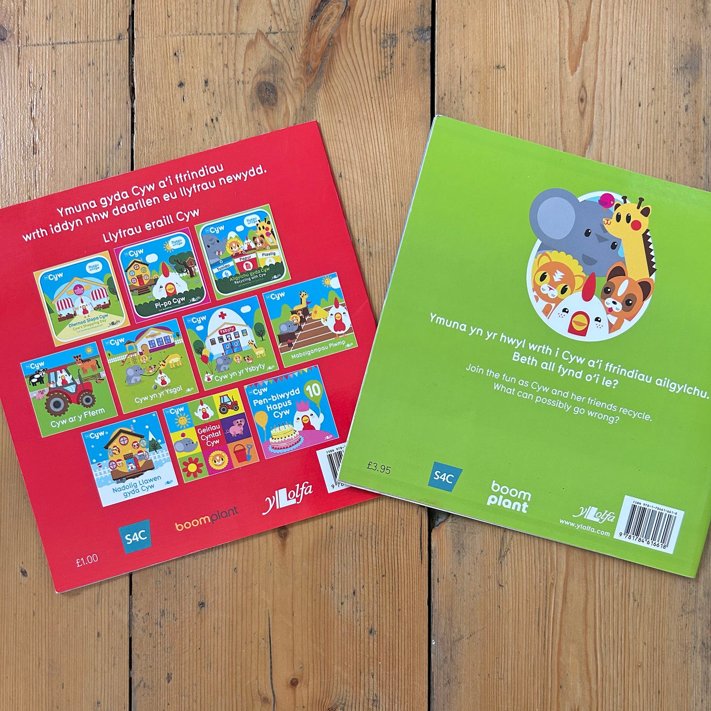 Cyw Bundle of 2 Books (Preloved)