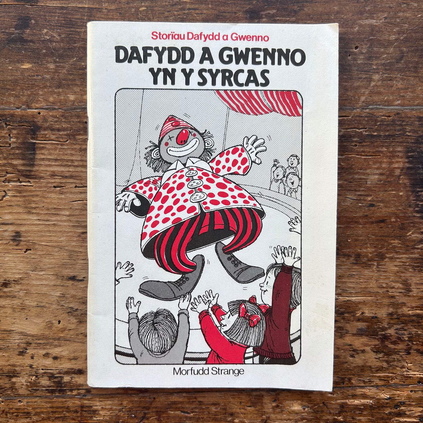 Dafydd a Gwenno yn y Syrcas - Morfudd Strange 1980 (Preloved)