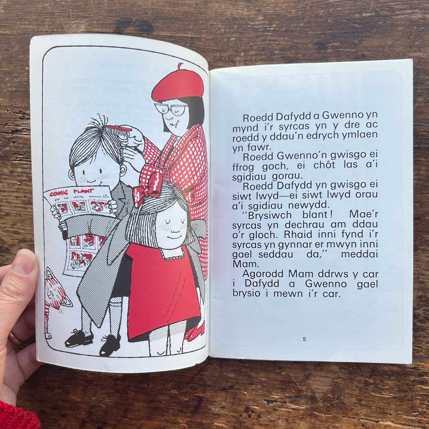 Dafydd a Gwenno yn y Syrcas - Morfudd Strange 1980 (Preloved)