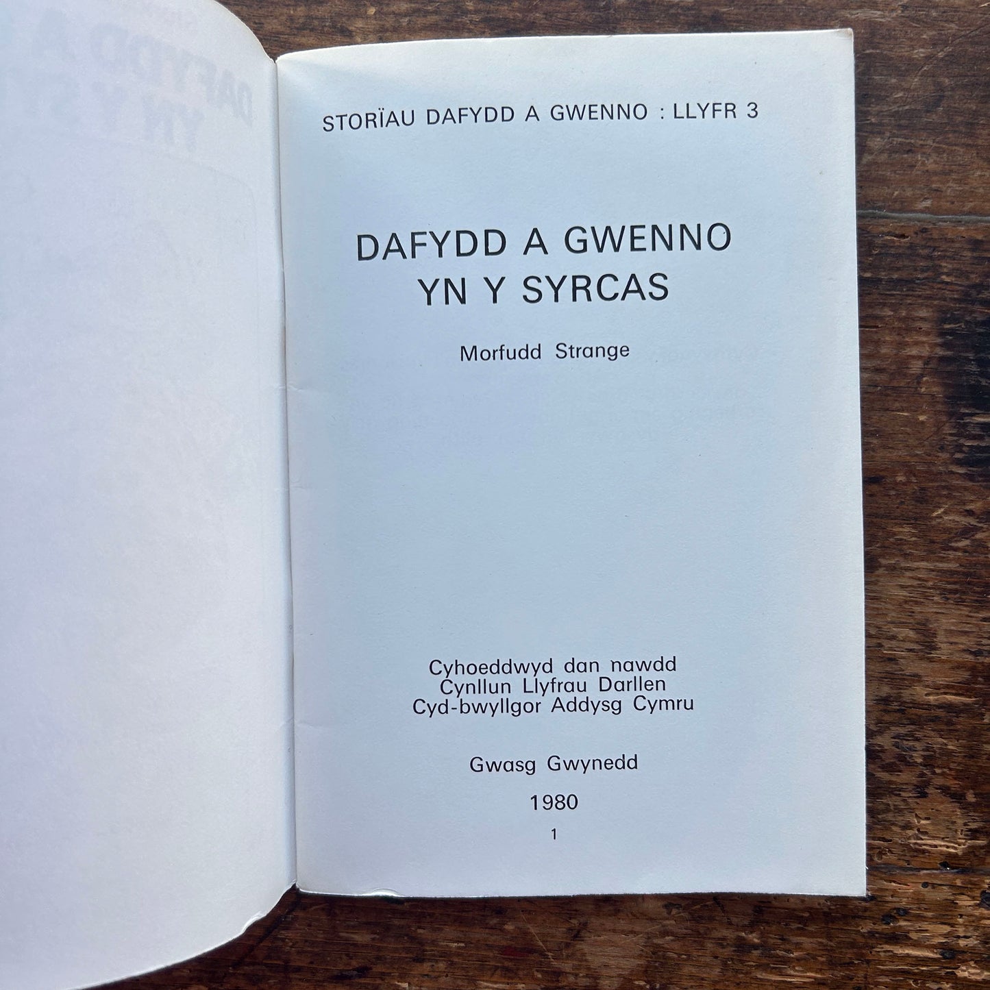 Dafydd a Gwenno yn y Syrcas - Morfudd Strange 1980 (Preloved)