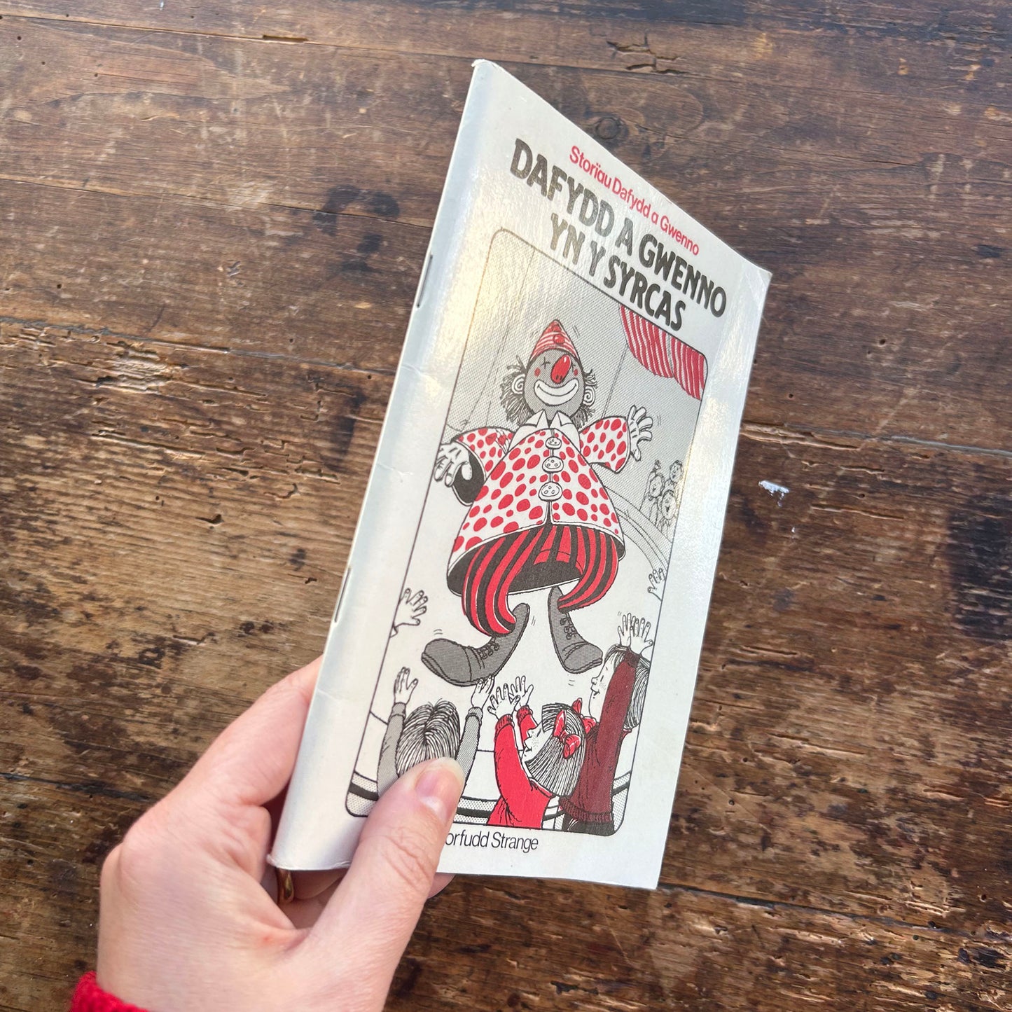 Dafydd a Gwenno yn y Syrcas - Morfudd Strange 1980 (Preloved)