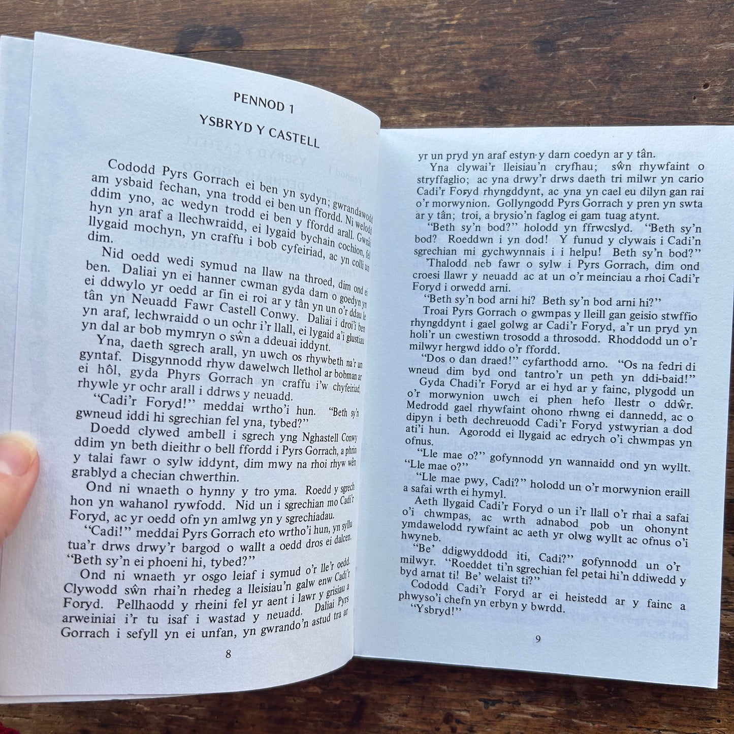 Dafydd ap Siencyn - a'r Mwynach Gwyn (Preloved)