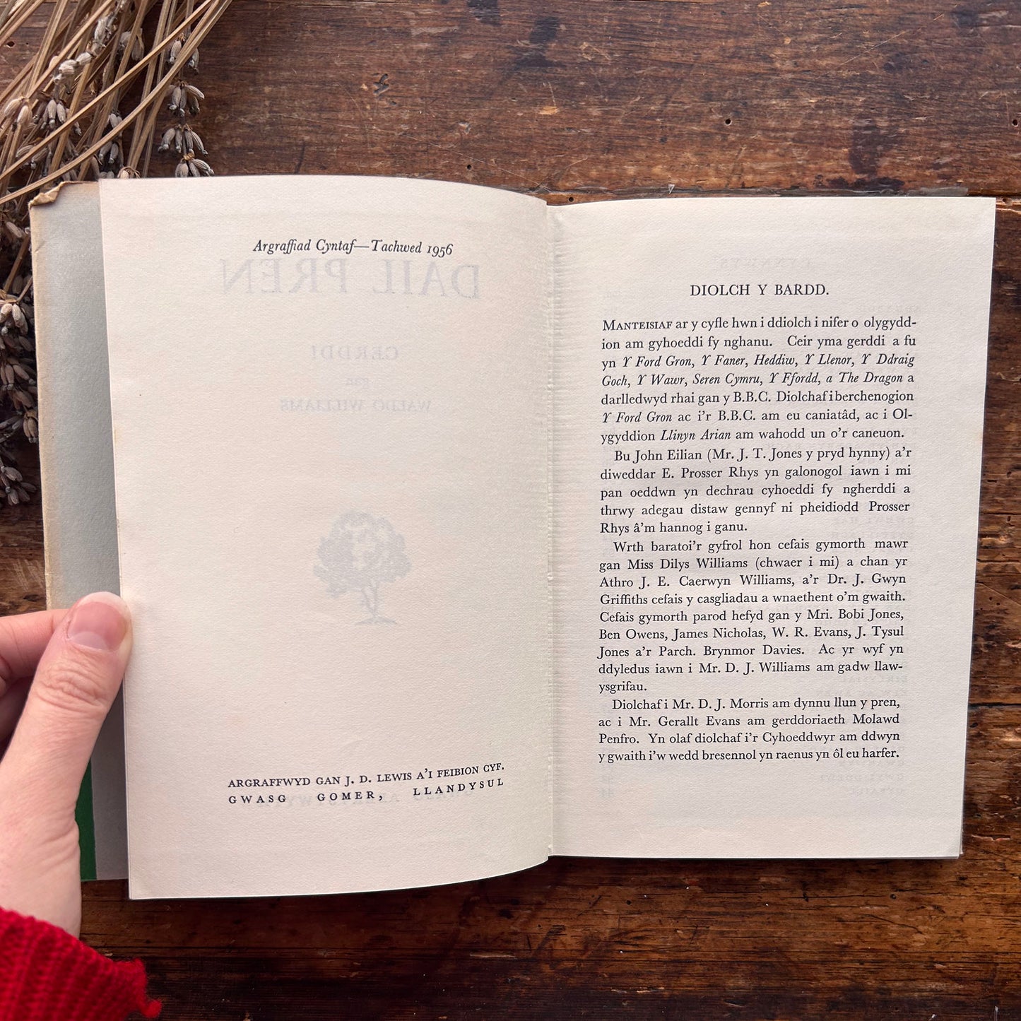 Dail Pren - Cerddi - Waldo Williams - 1956 - 1st ed. (Preloved)