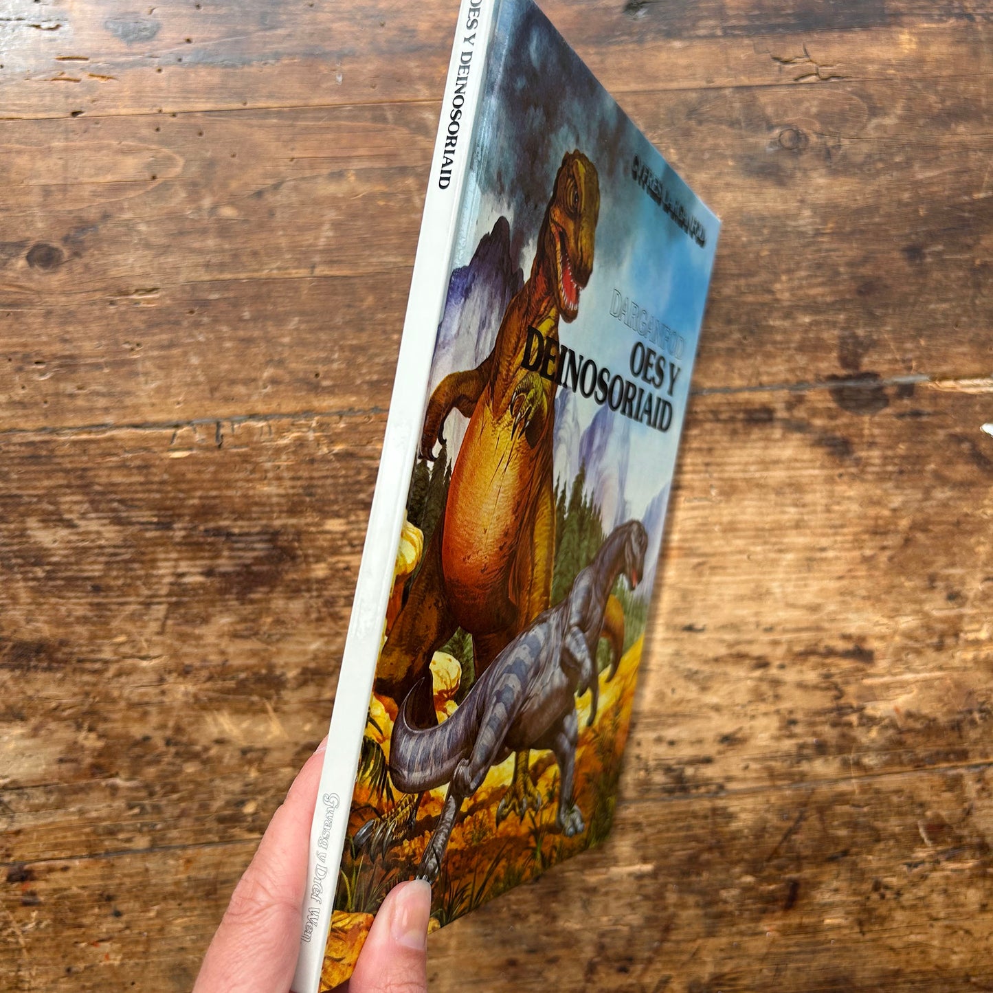 Harri Potter a Maen yr Athronydd - Harry Potter and the Philosopher's Stone - Cymraeg