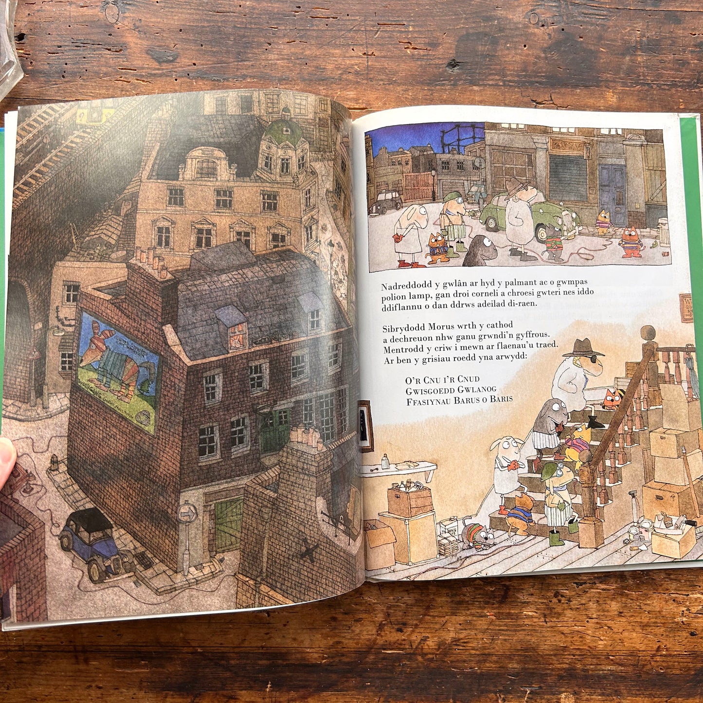 Defaid Mewn Dillad Bllaidd - Satoshi Kitamura (Preloved)