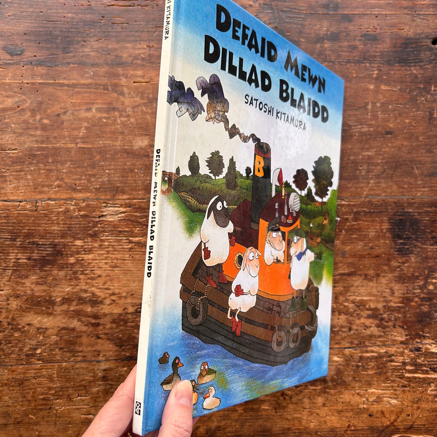 Defaid Mewn Dillad Bllaidd - Satoshi Kitamura (Preloved)