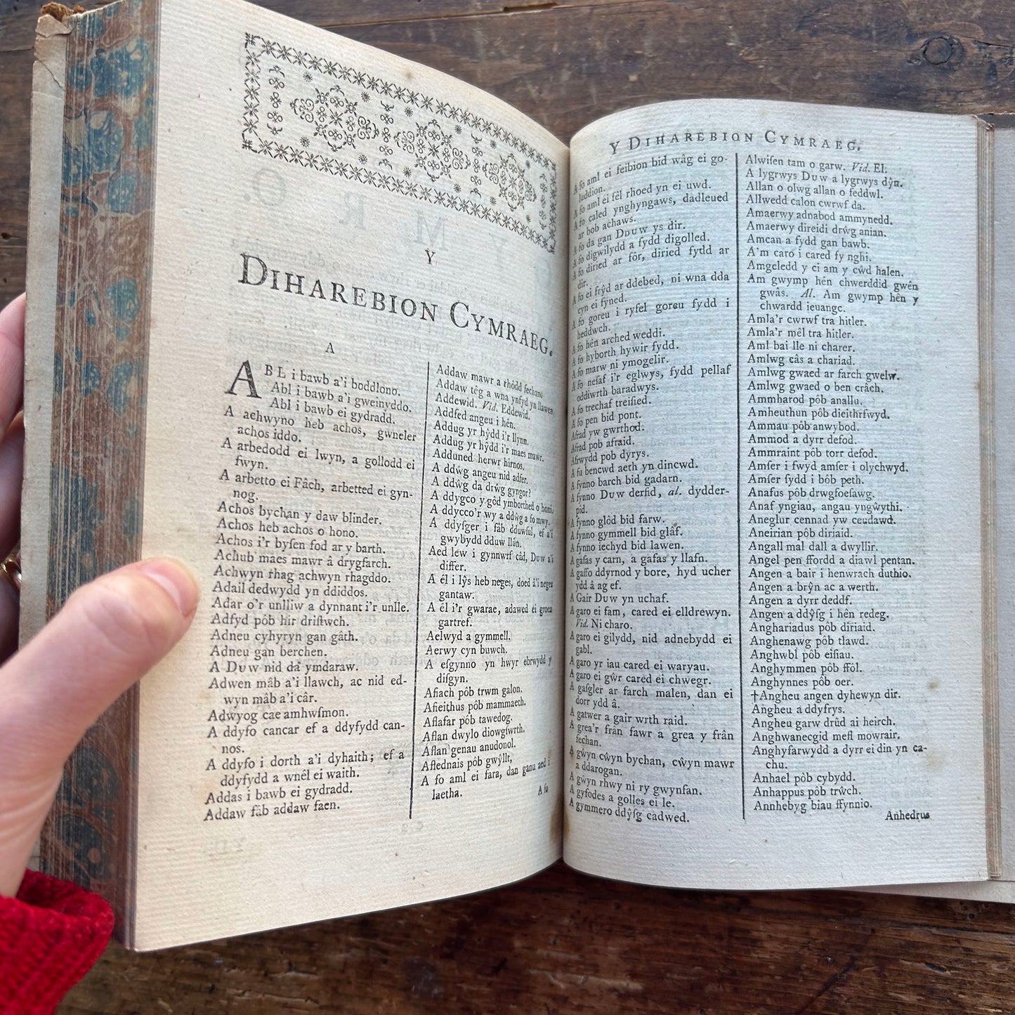 Dictionary / Geiriadur - Antiquae Linguae Britannicae - Richards Welsh & English - Antique 1759 (Preloved)