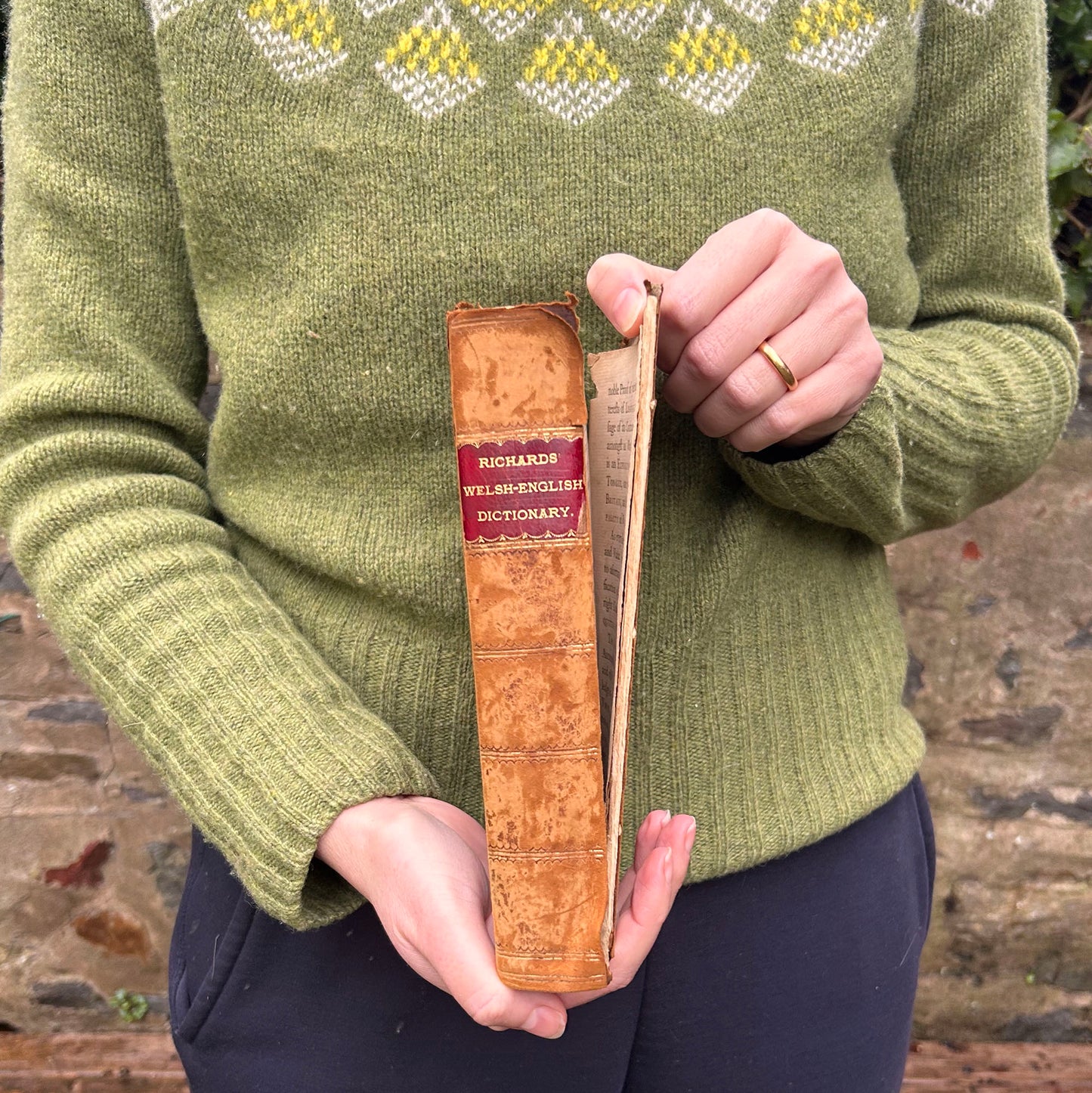 Dictionary / Geiriadur - Antiquae Linguae Britannicae - Richards Welsh & English - Antique 1759 (Preloved)