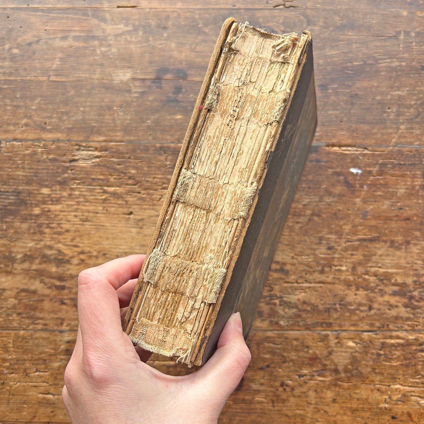 Dictionary / Geiriadur - Spurrell's Welsh & English - Antique 1915 (Preloved)