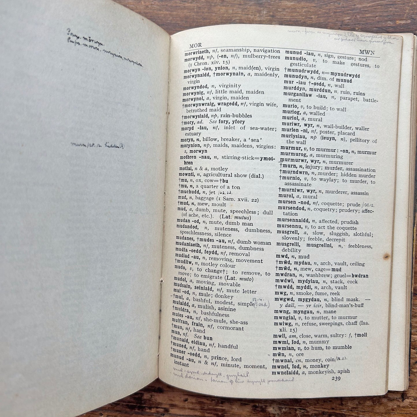 Dictionary / Geiriadur - Spurrell's Welsh & English - Antique 1915 (Preloved)