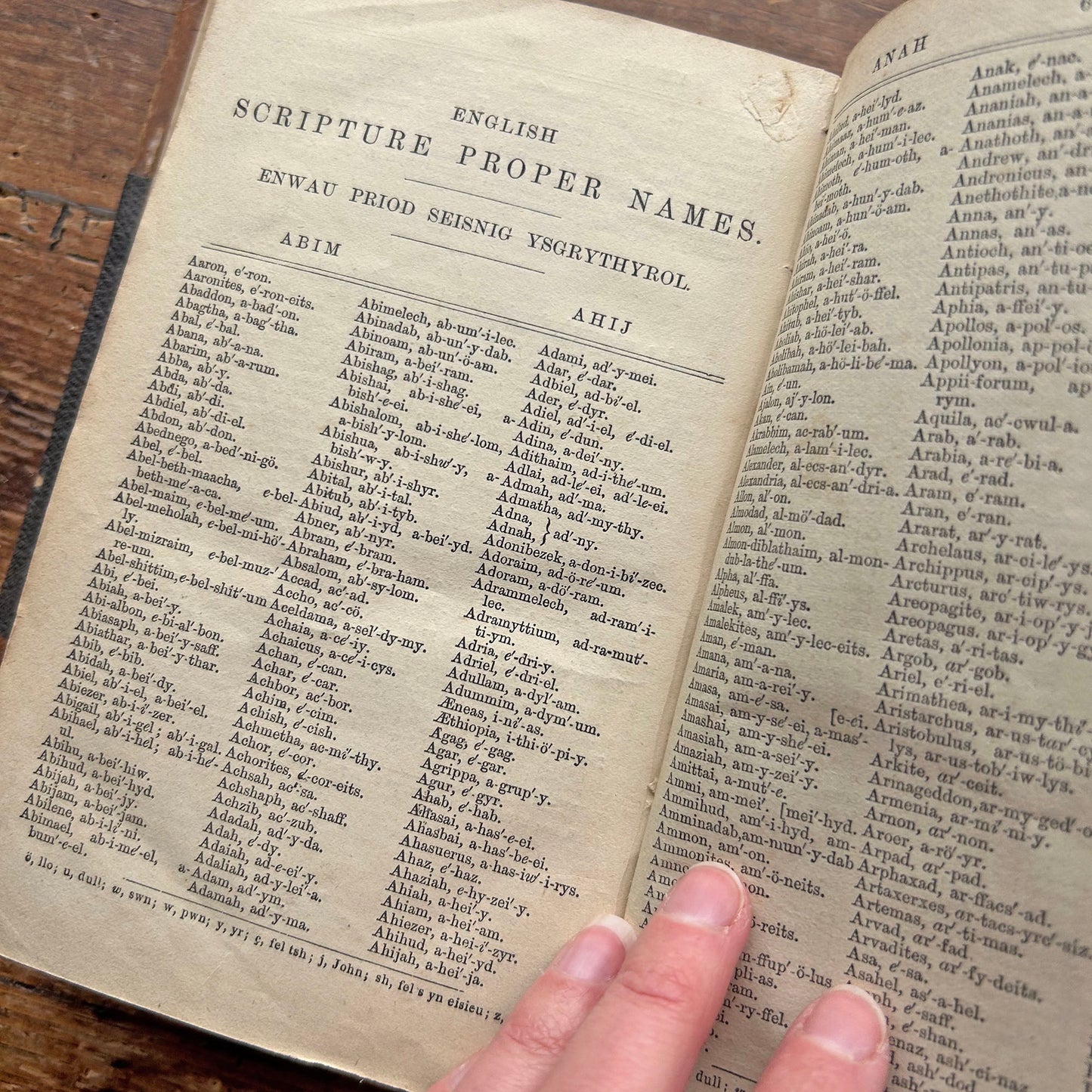 Dictionary / Geiriadur - Welsh & English - Antique 1880 (Preloved)