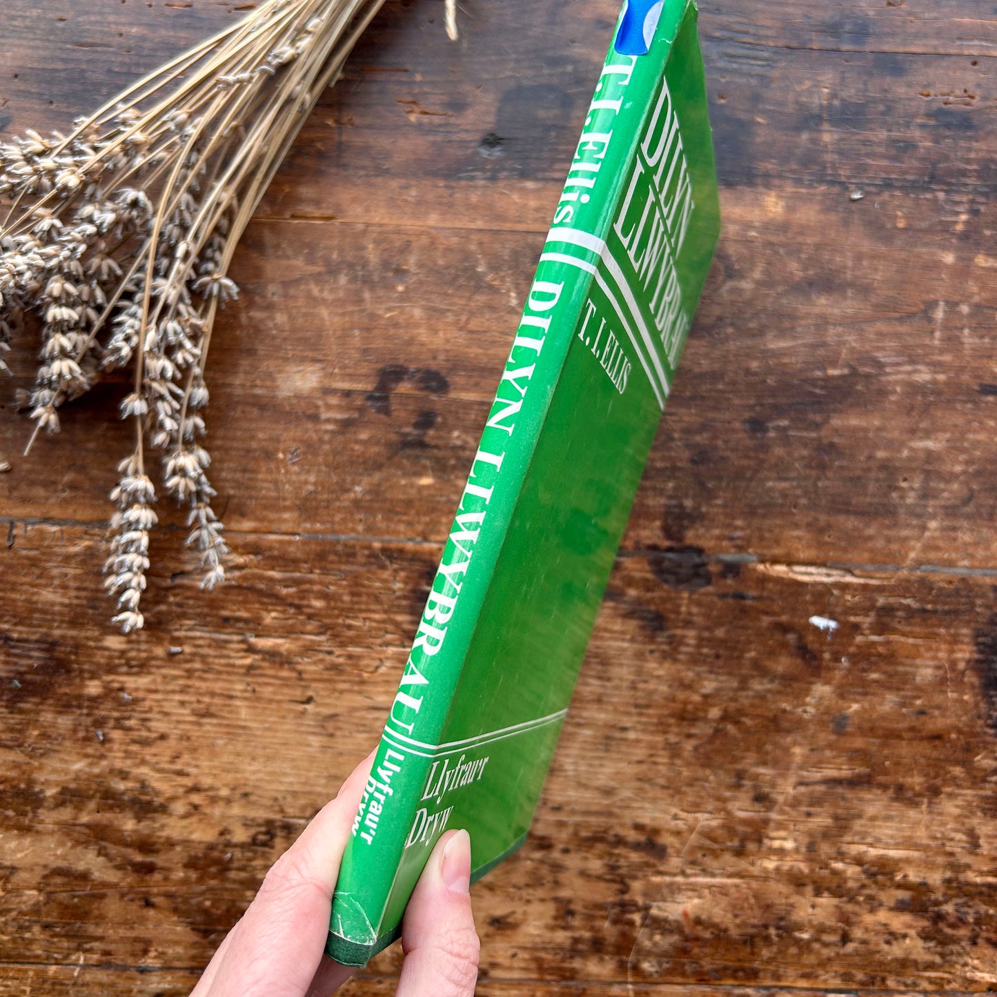 Dilyn Llwybrau - T. I. Ellis - 1967 (Preloved)