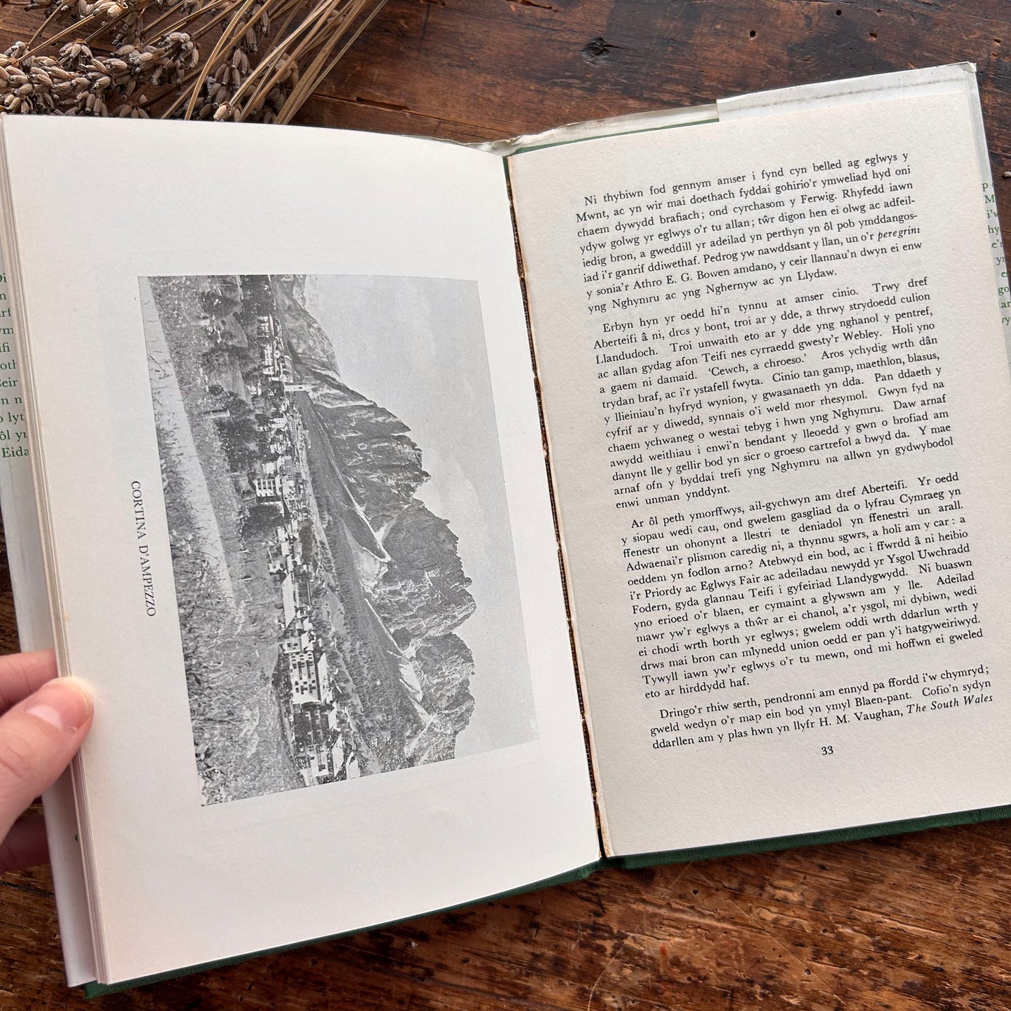 Dilyn Llwybrau - T. I. Ellis - 1967 (Preloved)