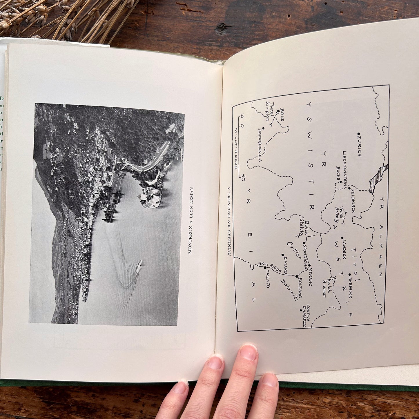 Dilyn Llwybrau - T. I. Ellis - 1967 (Preloved)