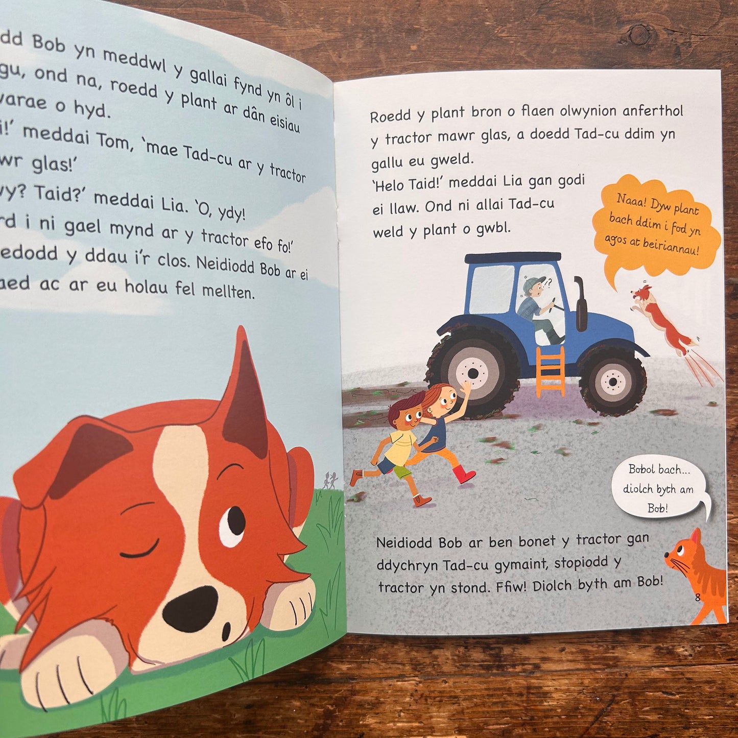 Diolch Byth am Bob! Bethan Gwanas (Preloved)