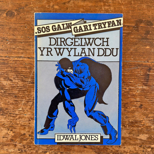 Dirgelwch Yr Wylan Ddu - Idwal Jones - 1978 (Preloved)