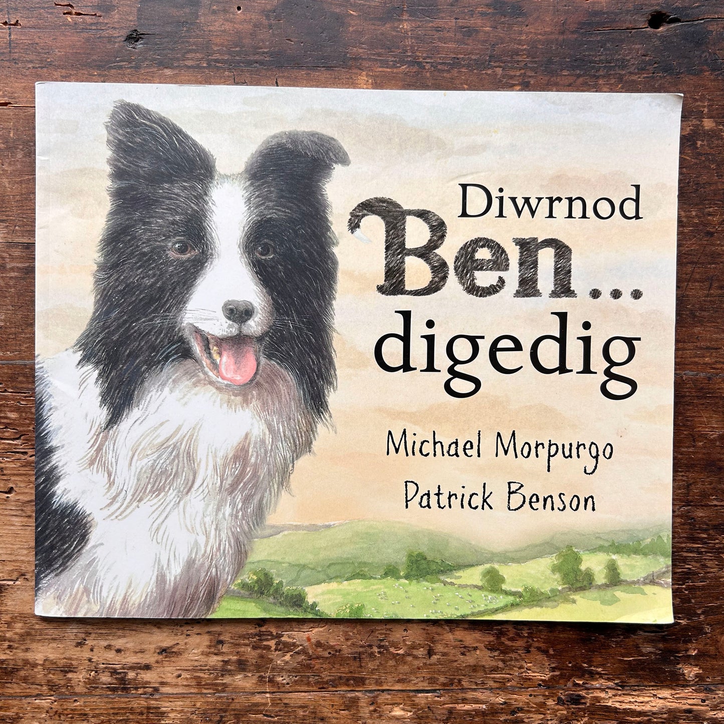 Diwrnod Ben digedig - Michael Morpurgo & Patrick Benson (Preloved)