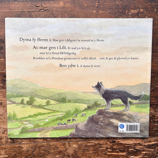 Diwrnod Ben digedig - Michael Morpurgo & Patrick Benson (Preloved)