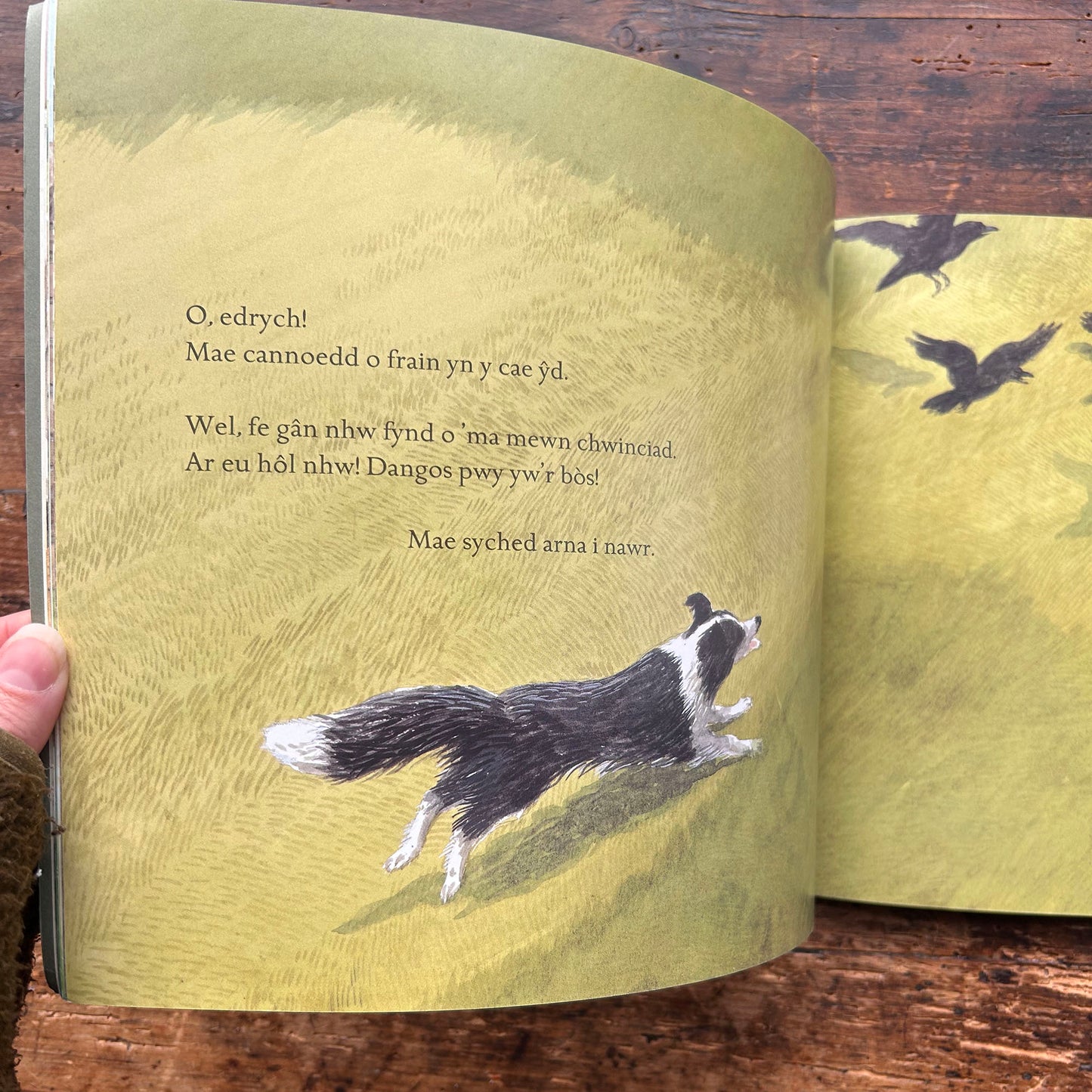 Diwrnod Ben digedig - Michael Morpurgo & Patrick Benson (Preloved)