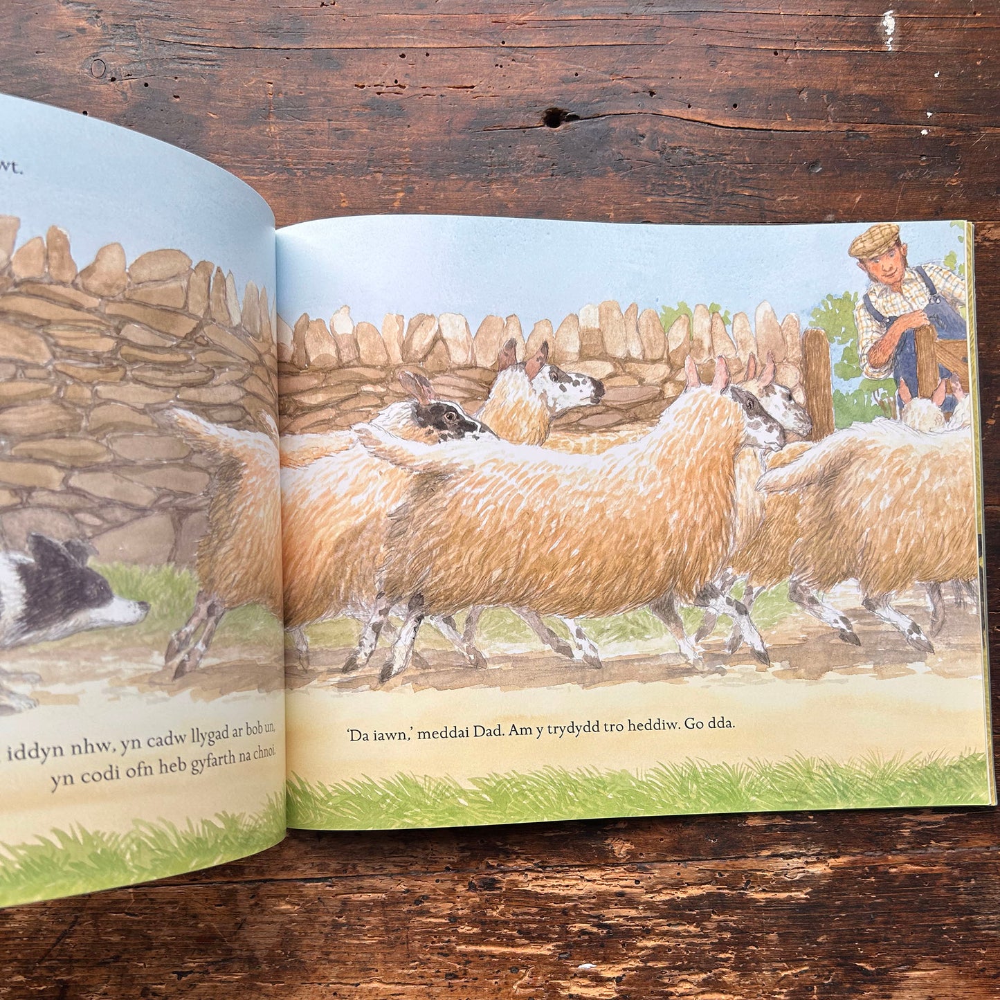 Diwrnod Ben digedig - Michael Morpurgo & Patrick Benson (Preloved)